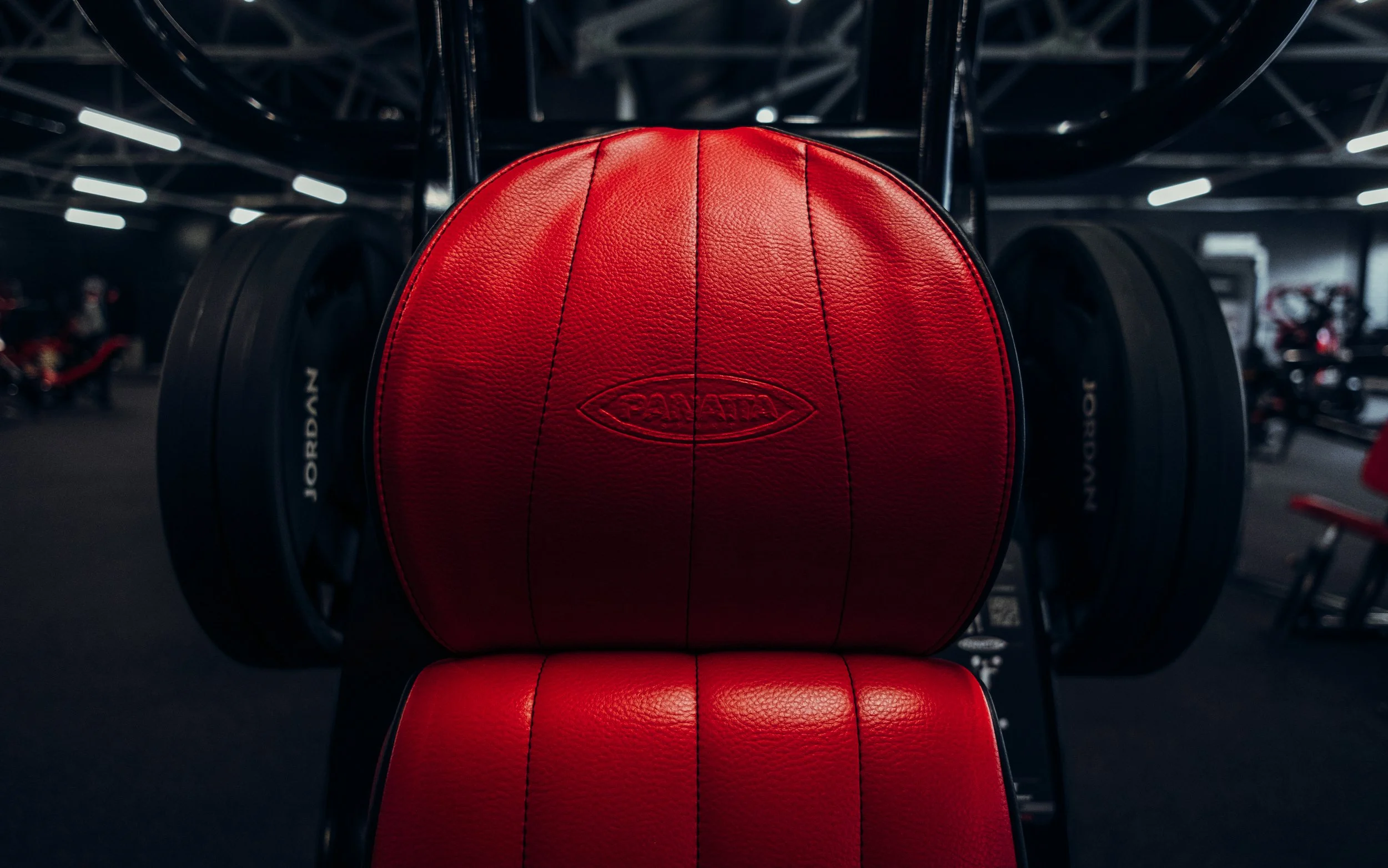 Chest Press Panatta Headrest Empire 4x5 a.jpg