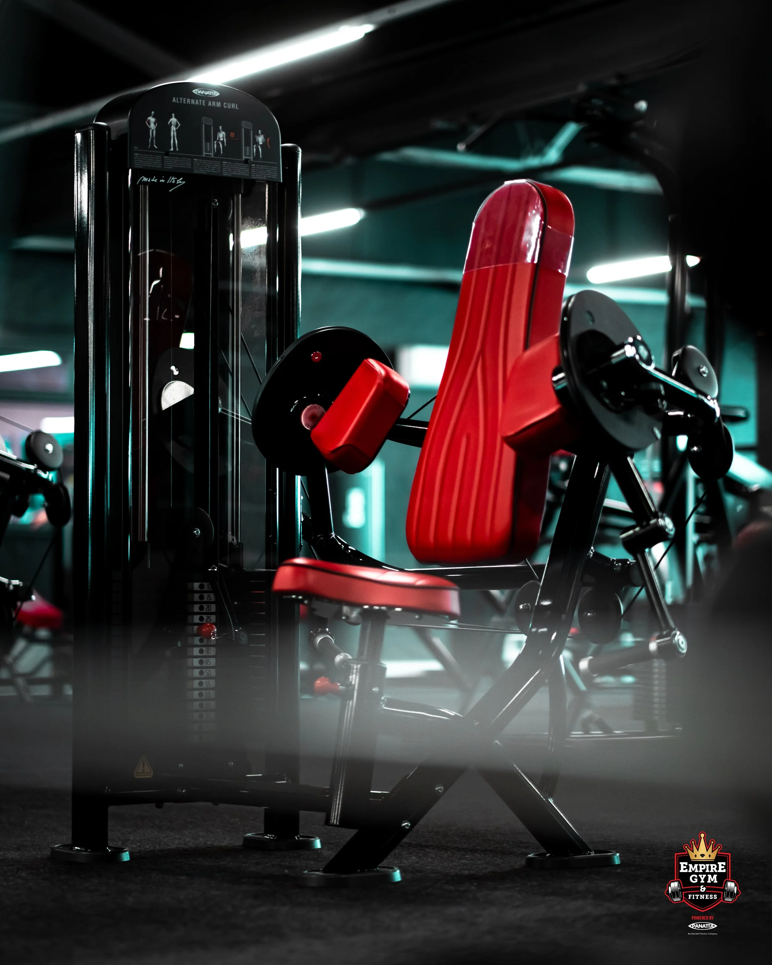 Empire Gym Bicep Curl Pin Loaded.jpg