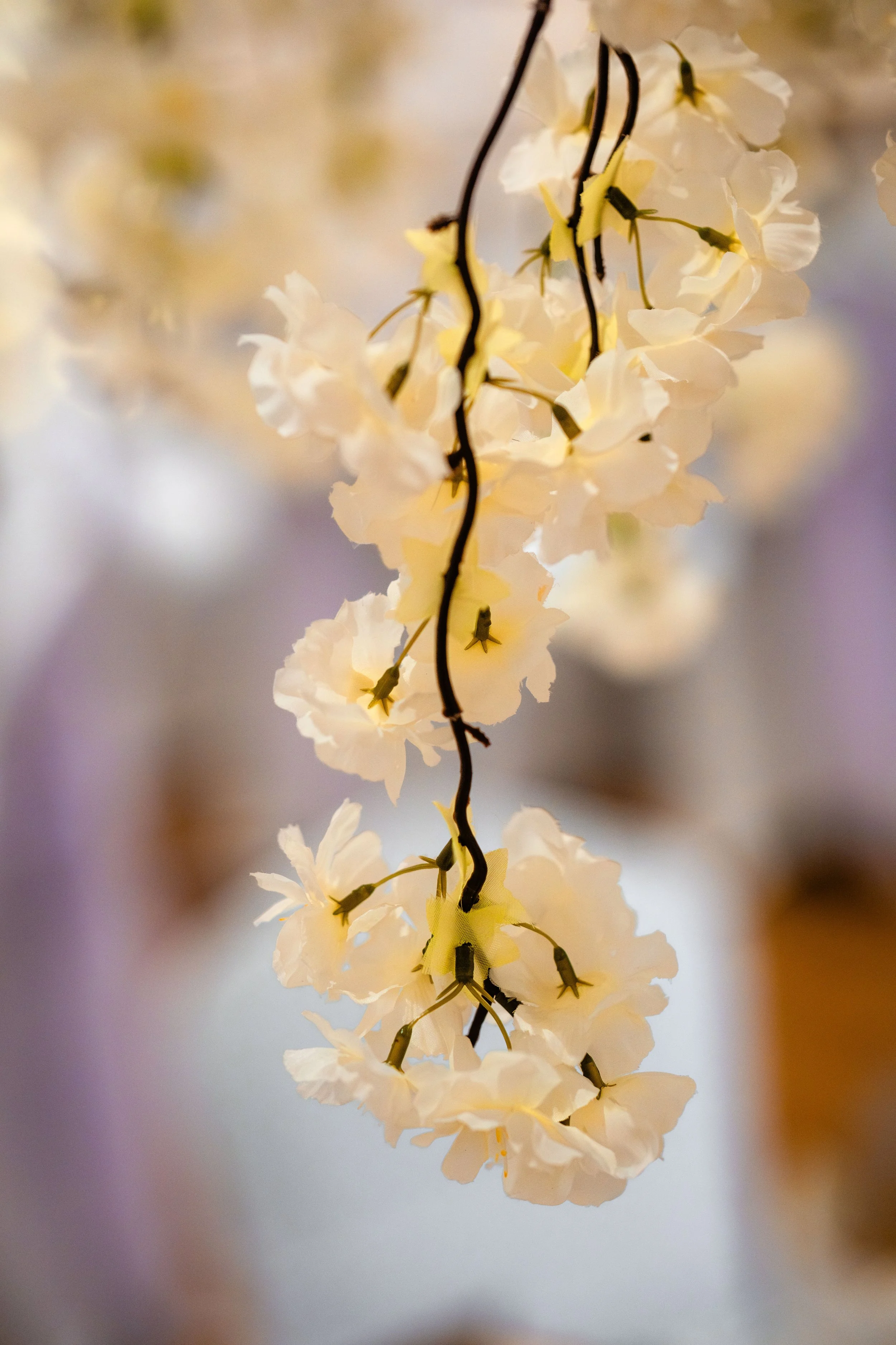 The Barns Cannock Wedding Photographer Photography Bridal Prep Stafforshire-47.JPG