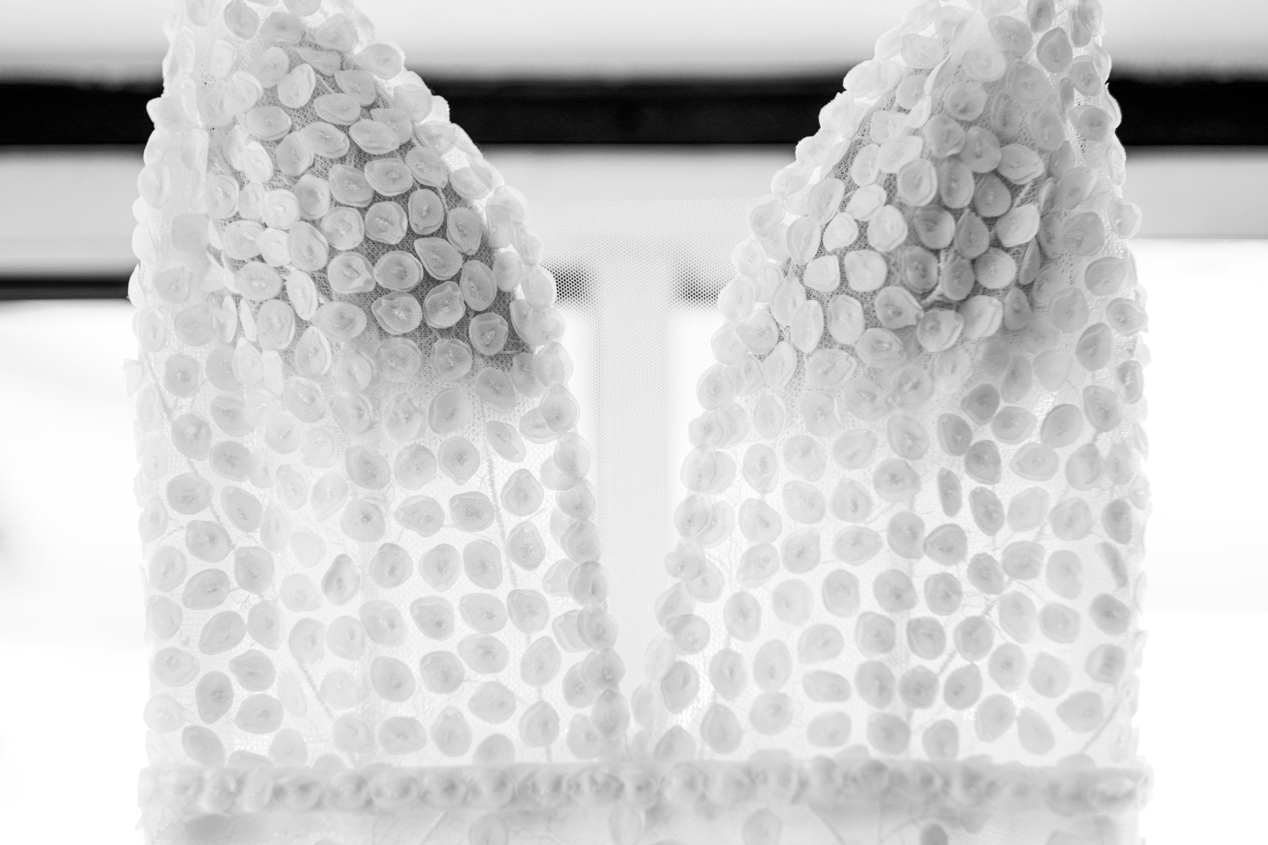 Lichfield Wedding Photographer Outdoor wedding photography cute dog (14).jpg