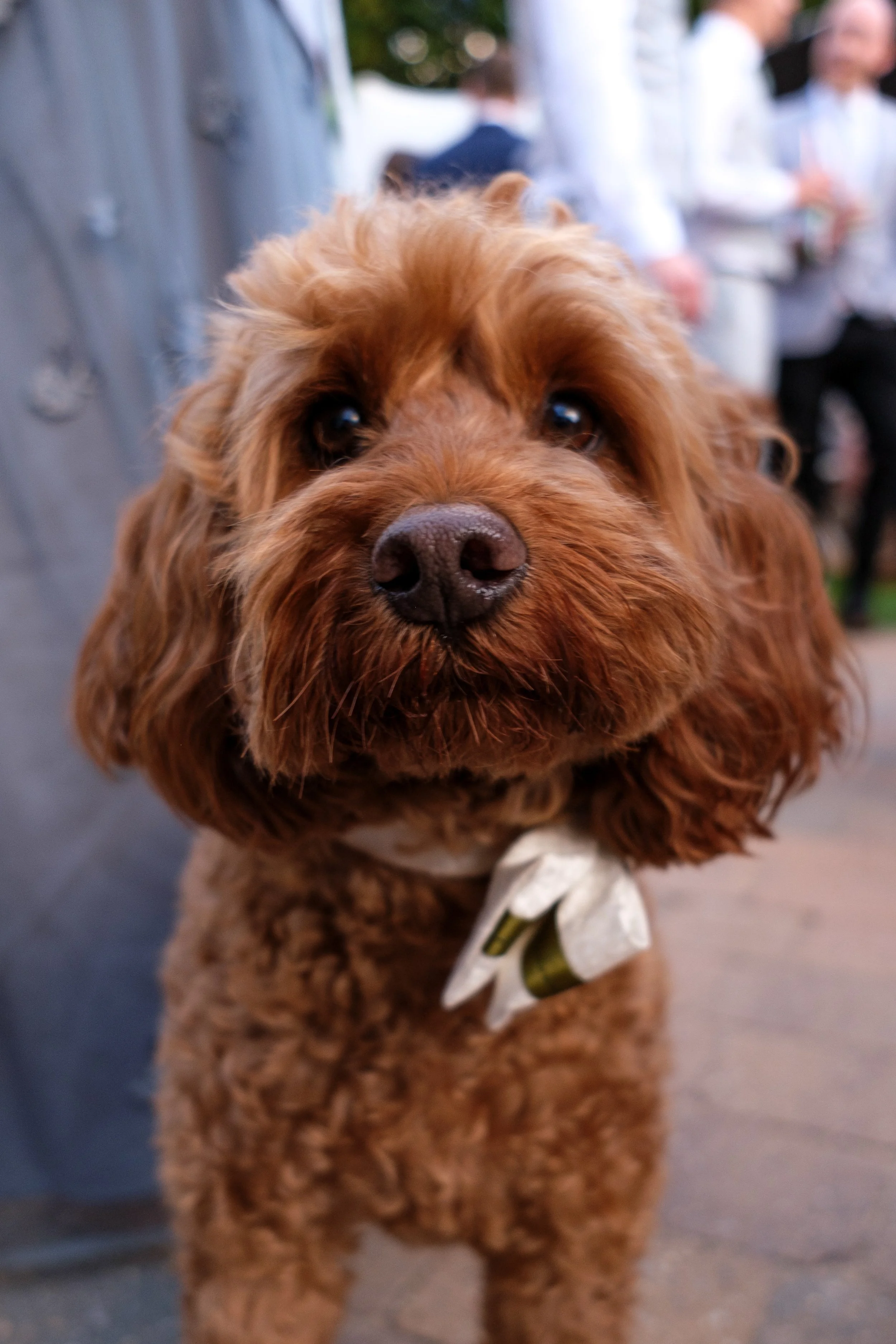 Wilkins Wedding Website-21.JPG