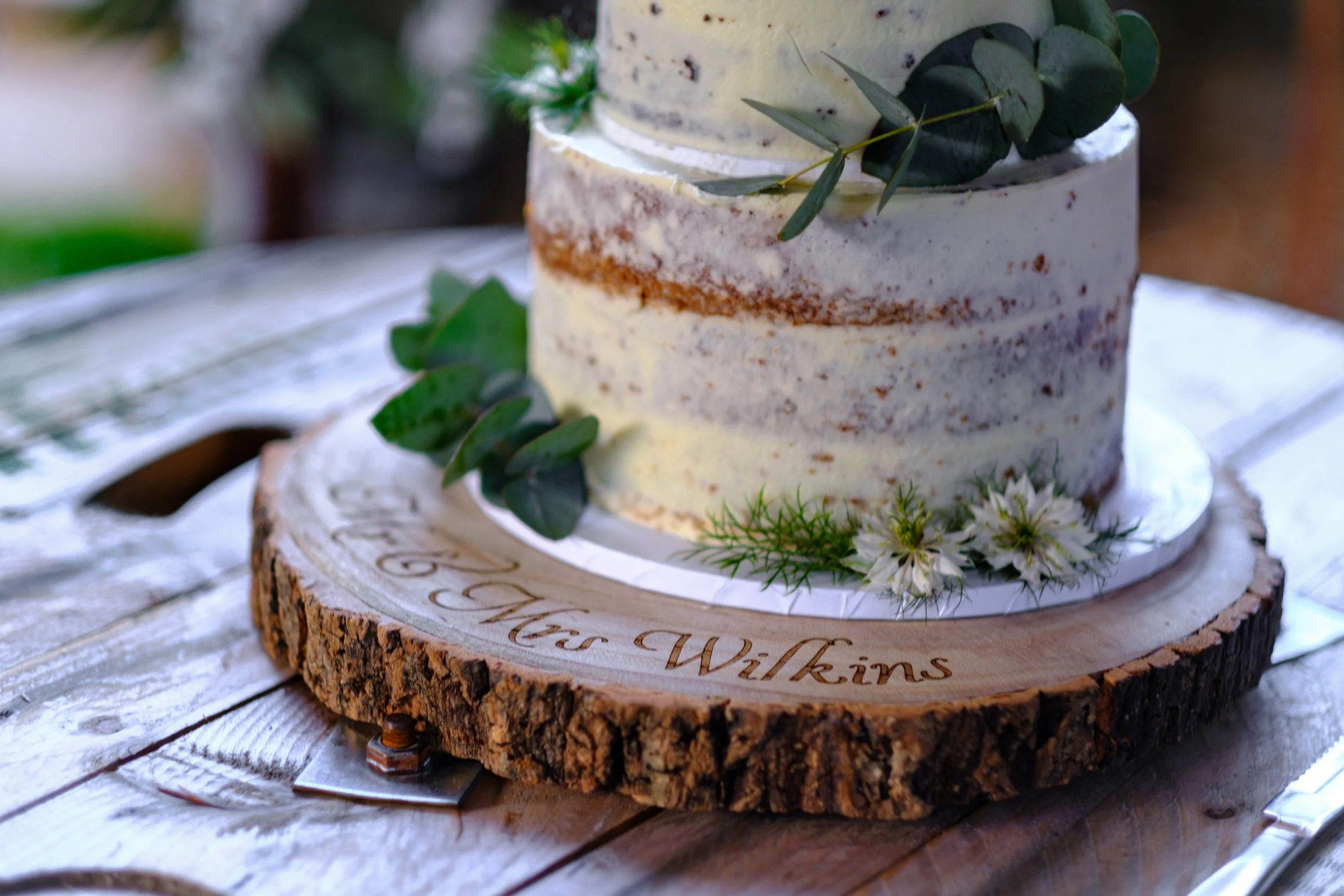 Wilkins Wedding Website a (20).JPG