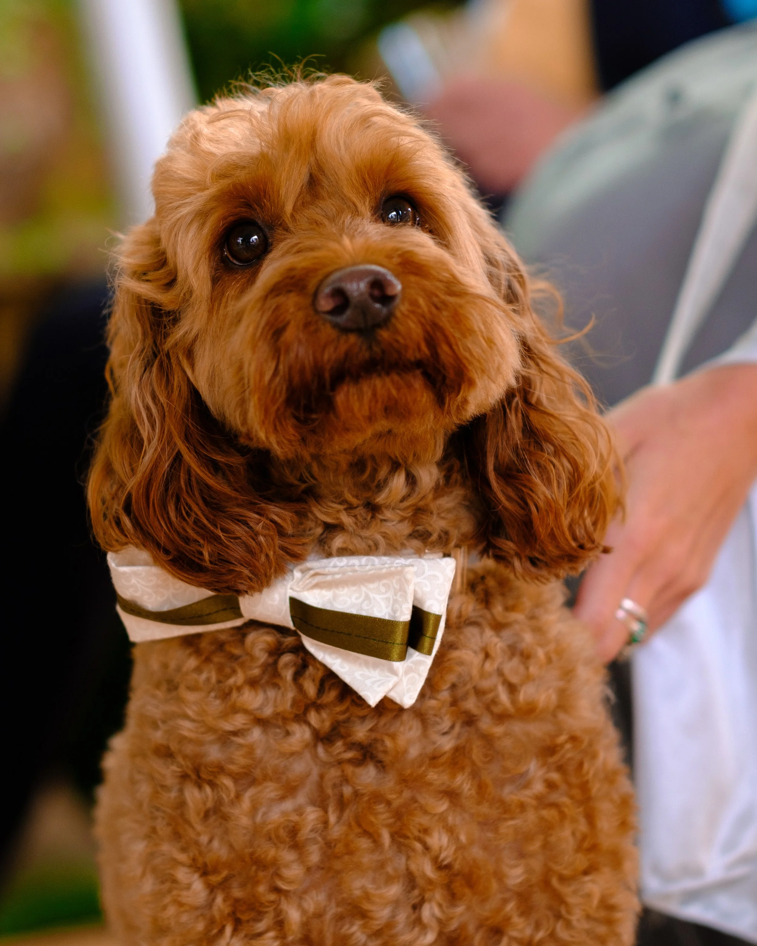 Wilkins Wedding Website a (14).JPG