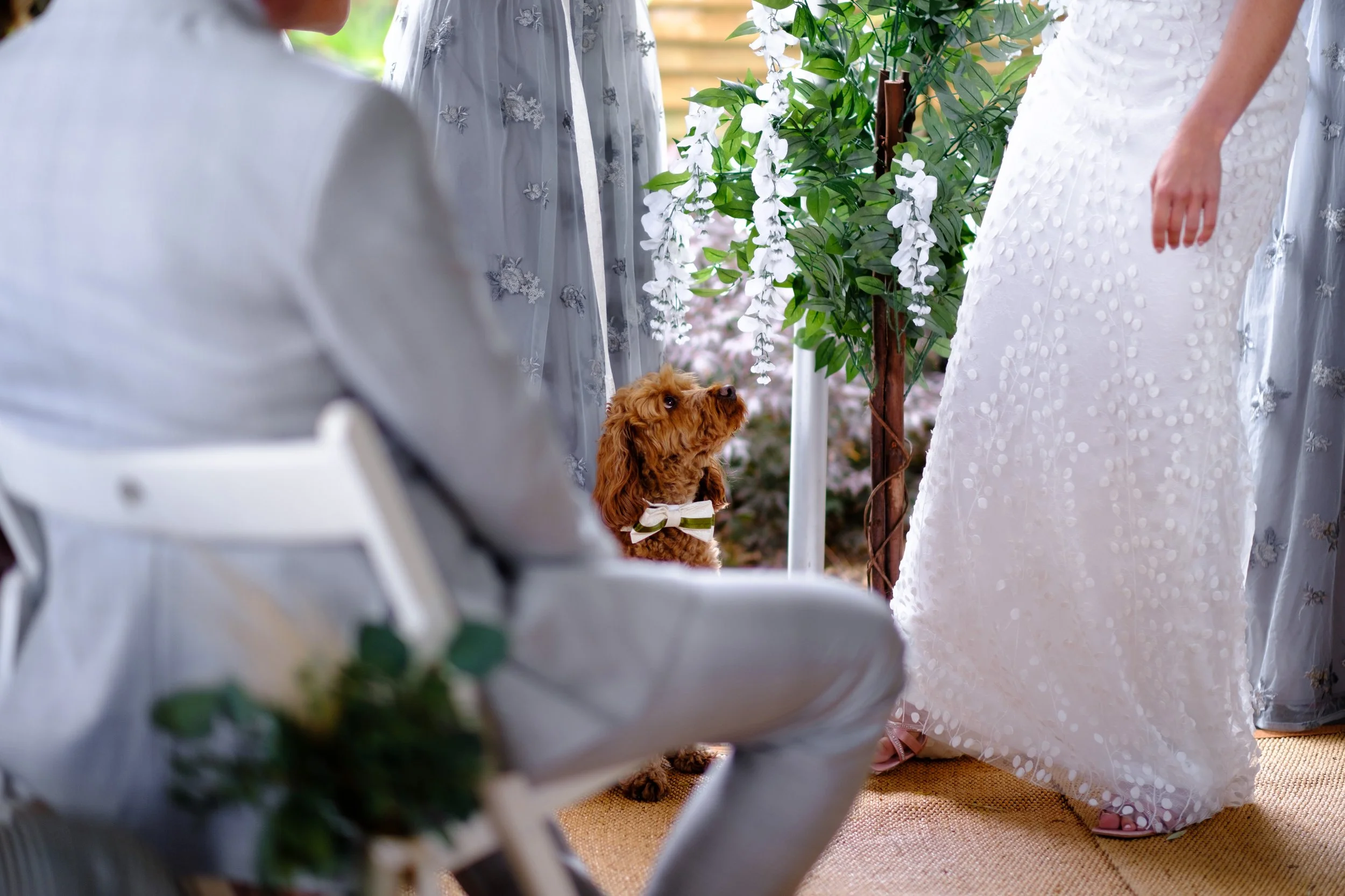 Wilkins Wedding Website-5.JPG