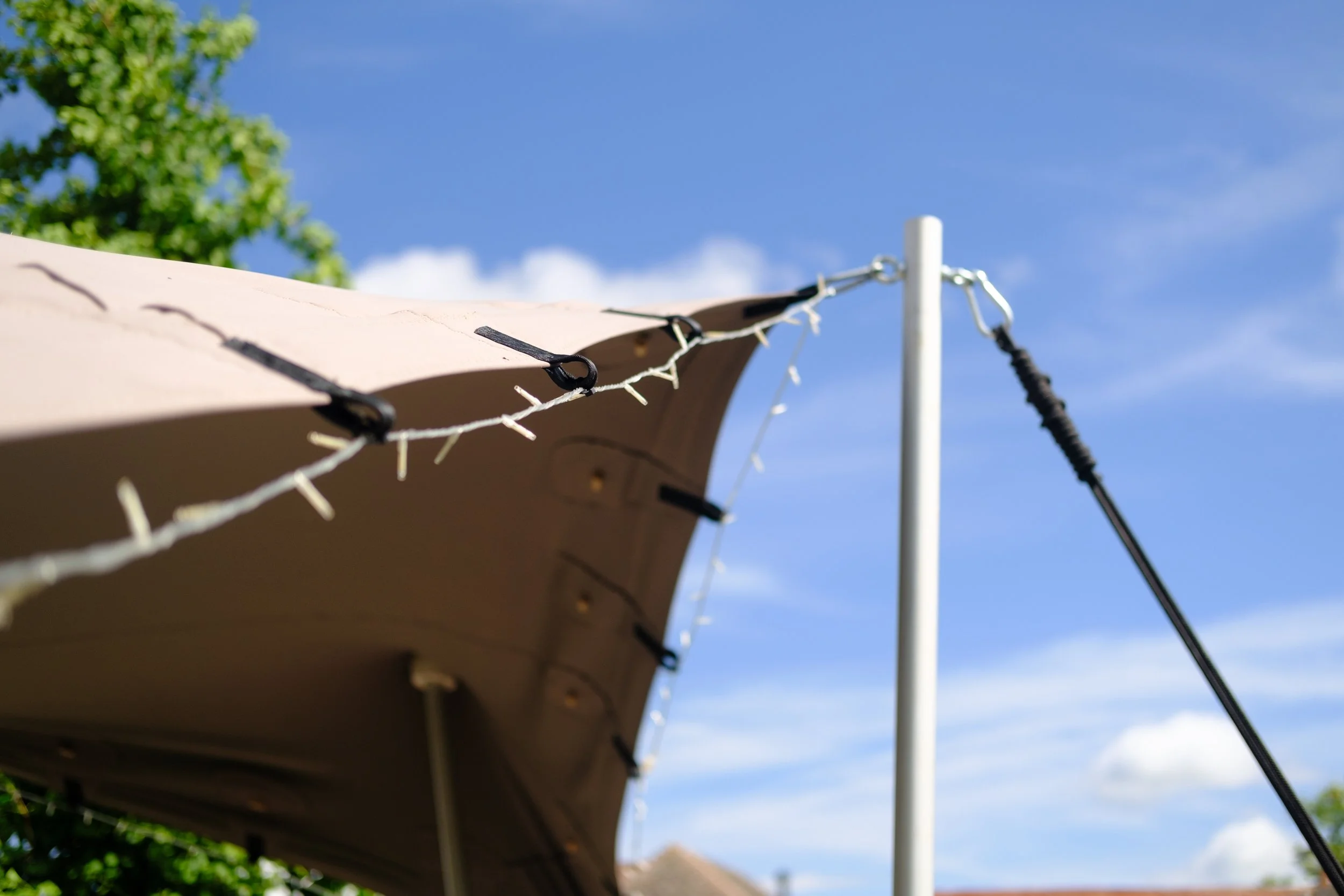 Lichfield Wedding Photographer Outdoor wedding photography cute dog (9).jpg