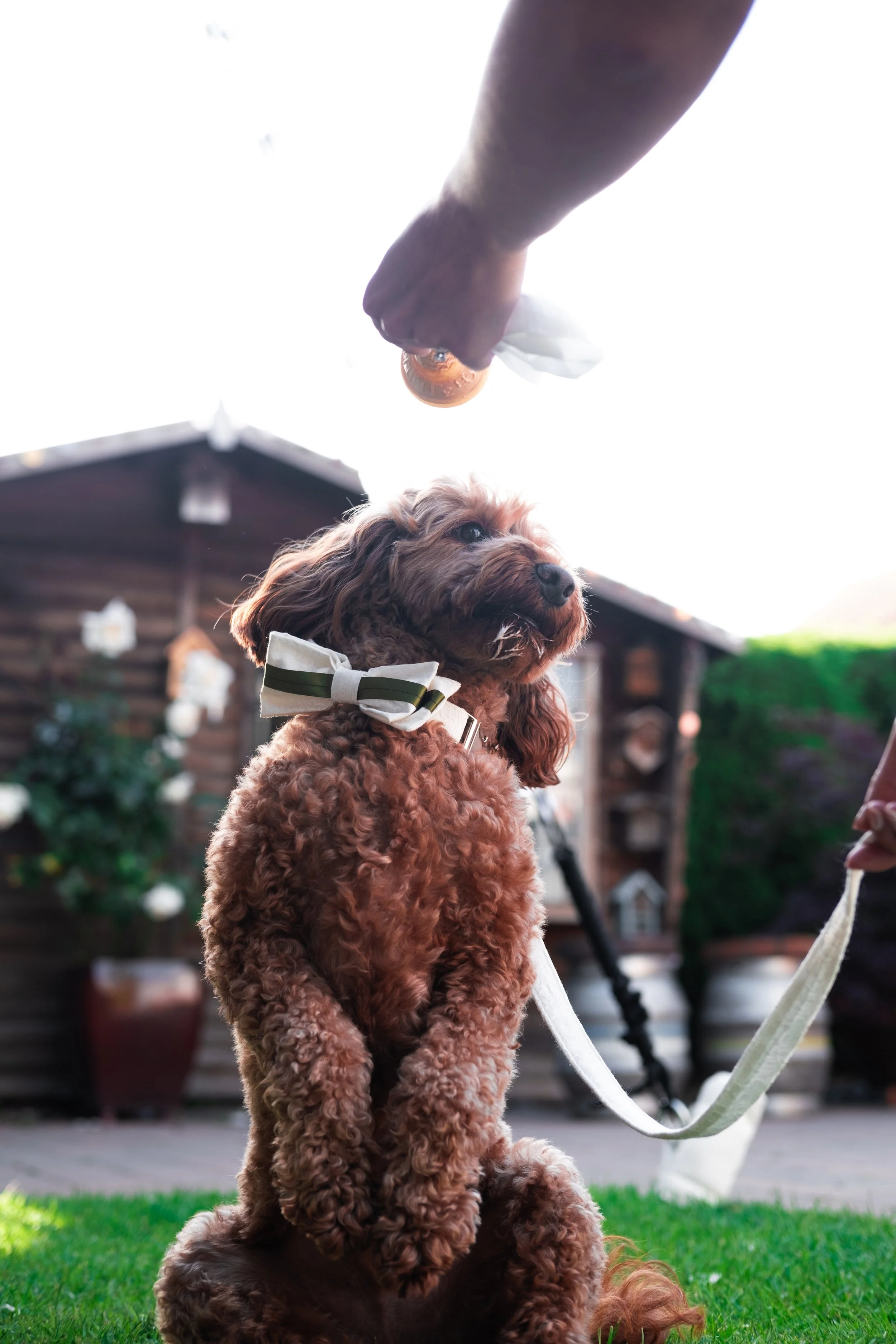 Wilkins Wedding Website a (16).JPG