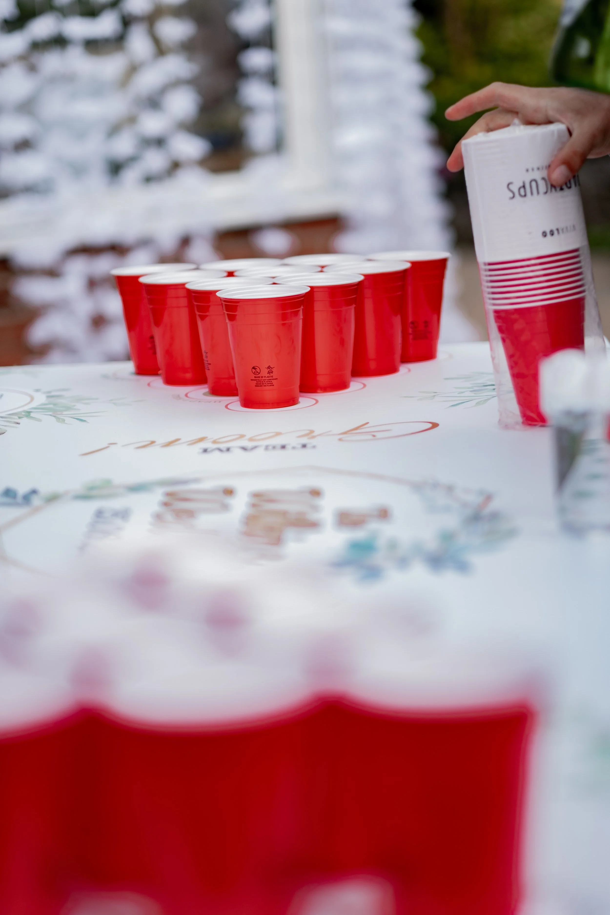 Wilkins Wedding Website-15.JPG