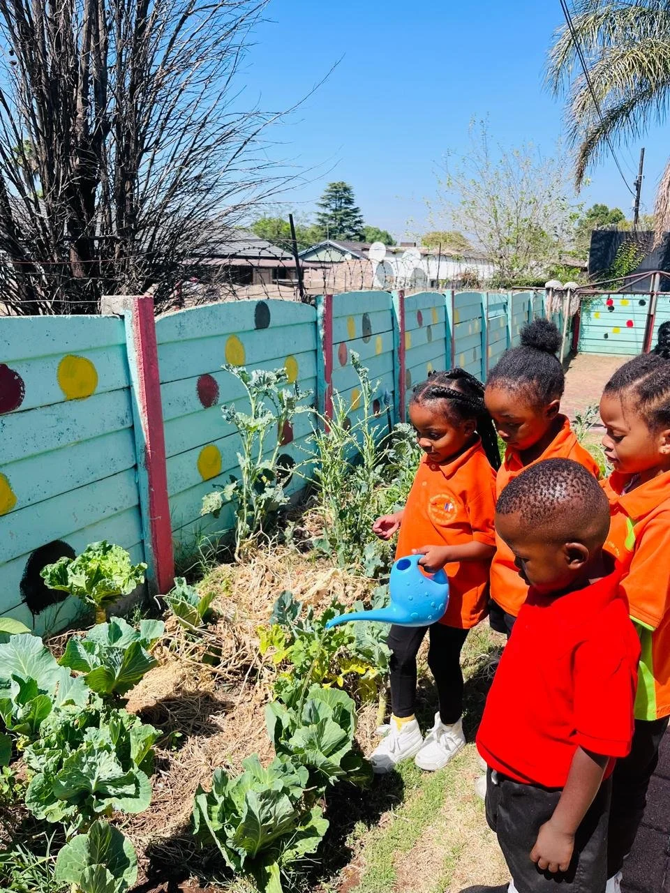 WhatsApp Image 2026-02-10 at 10.32.45 AM (3).jpeg