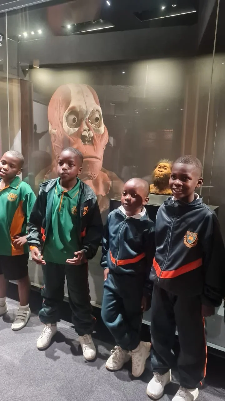 WhatsApp Image 2025-10-13 at 3.17.24 PM.jpeg