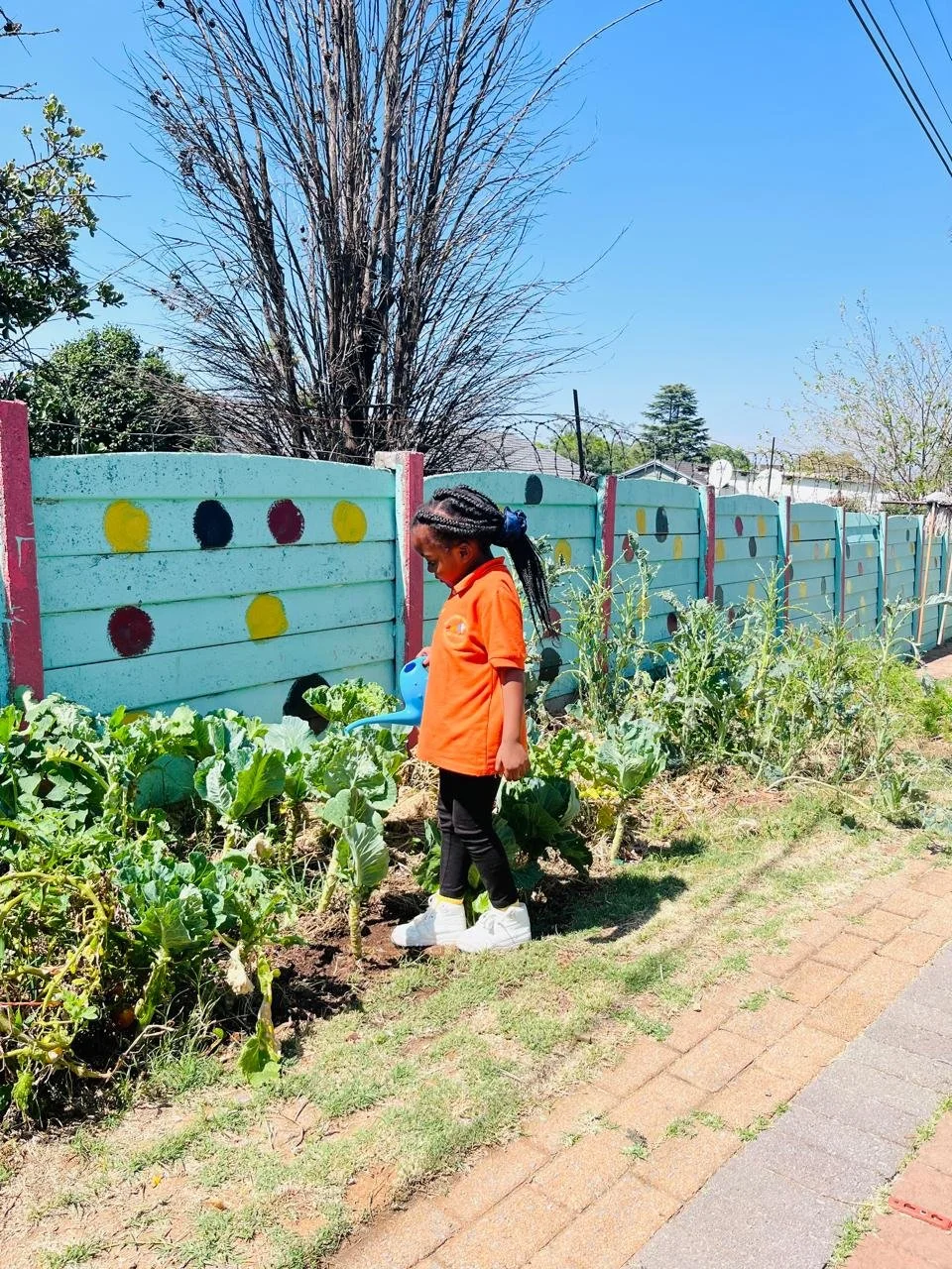 WhatsApp Image 2026-02-10 at 10.33.04 AM.jpeg