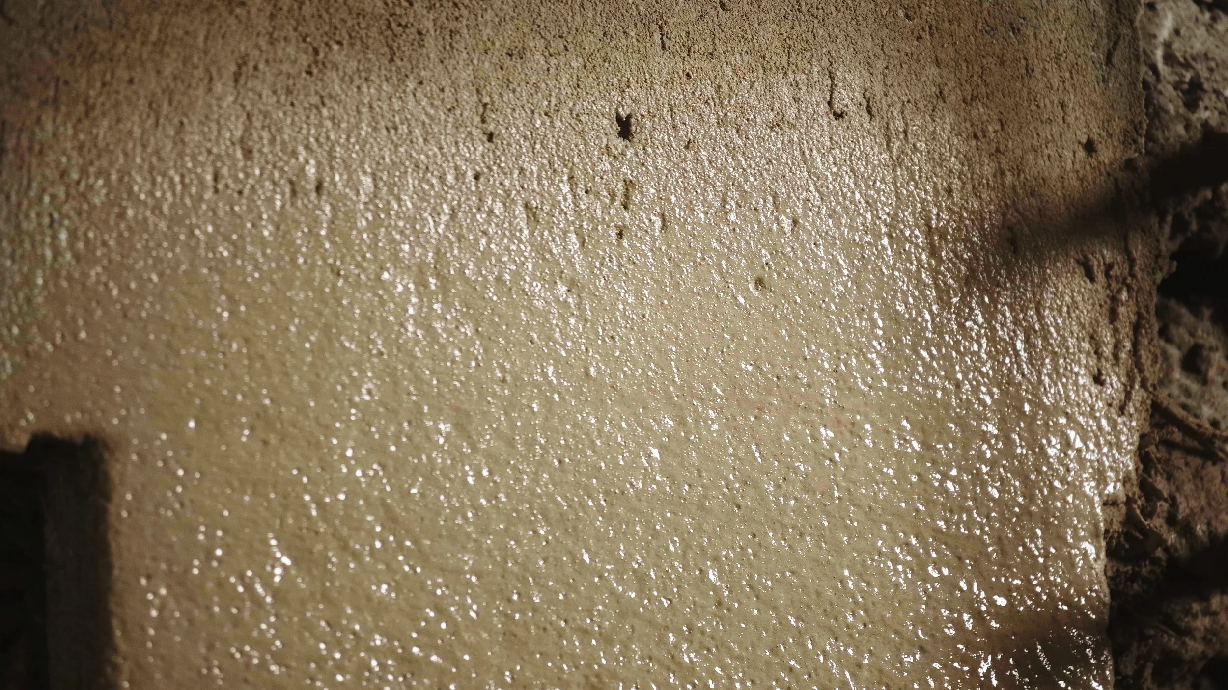 Still 2025-09-11 152153_1.44.3.jpg