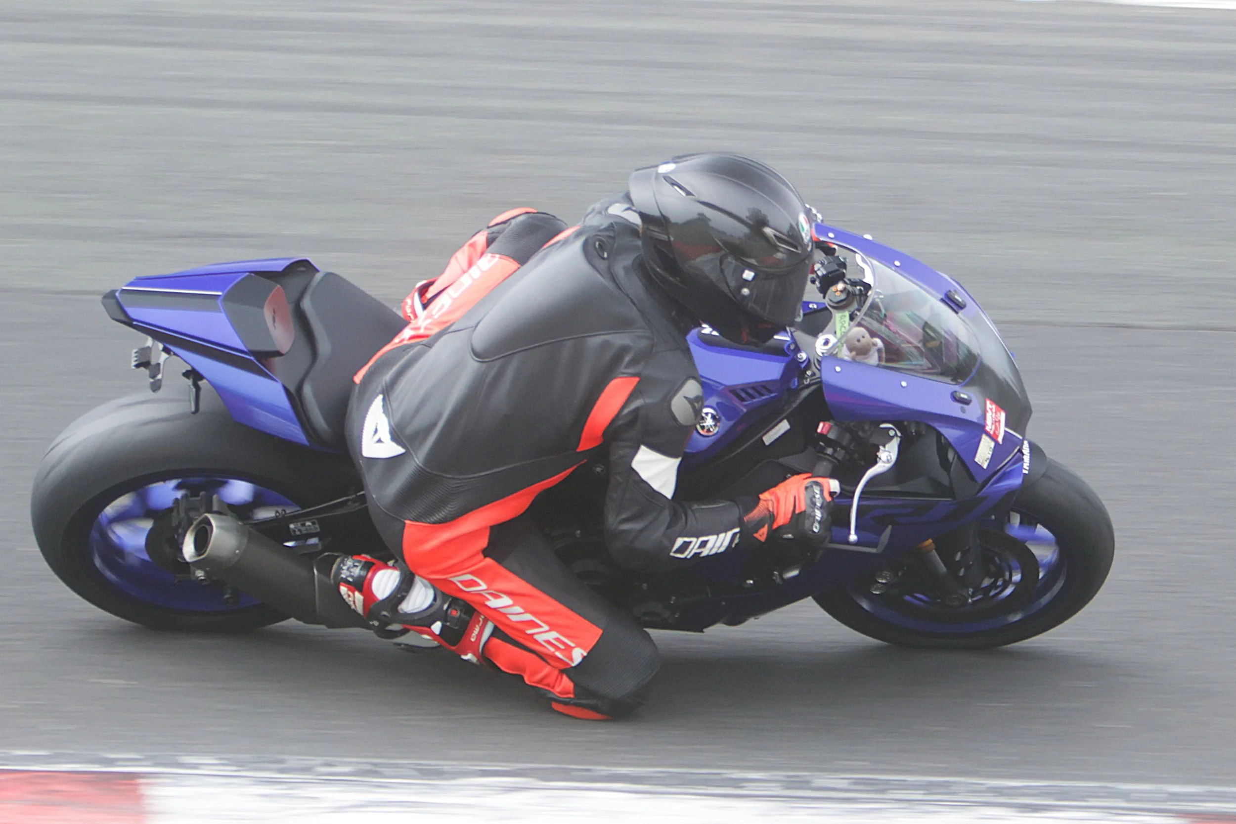 BB010475 crop.jpg