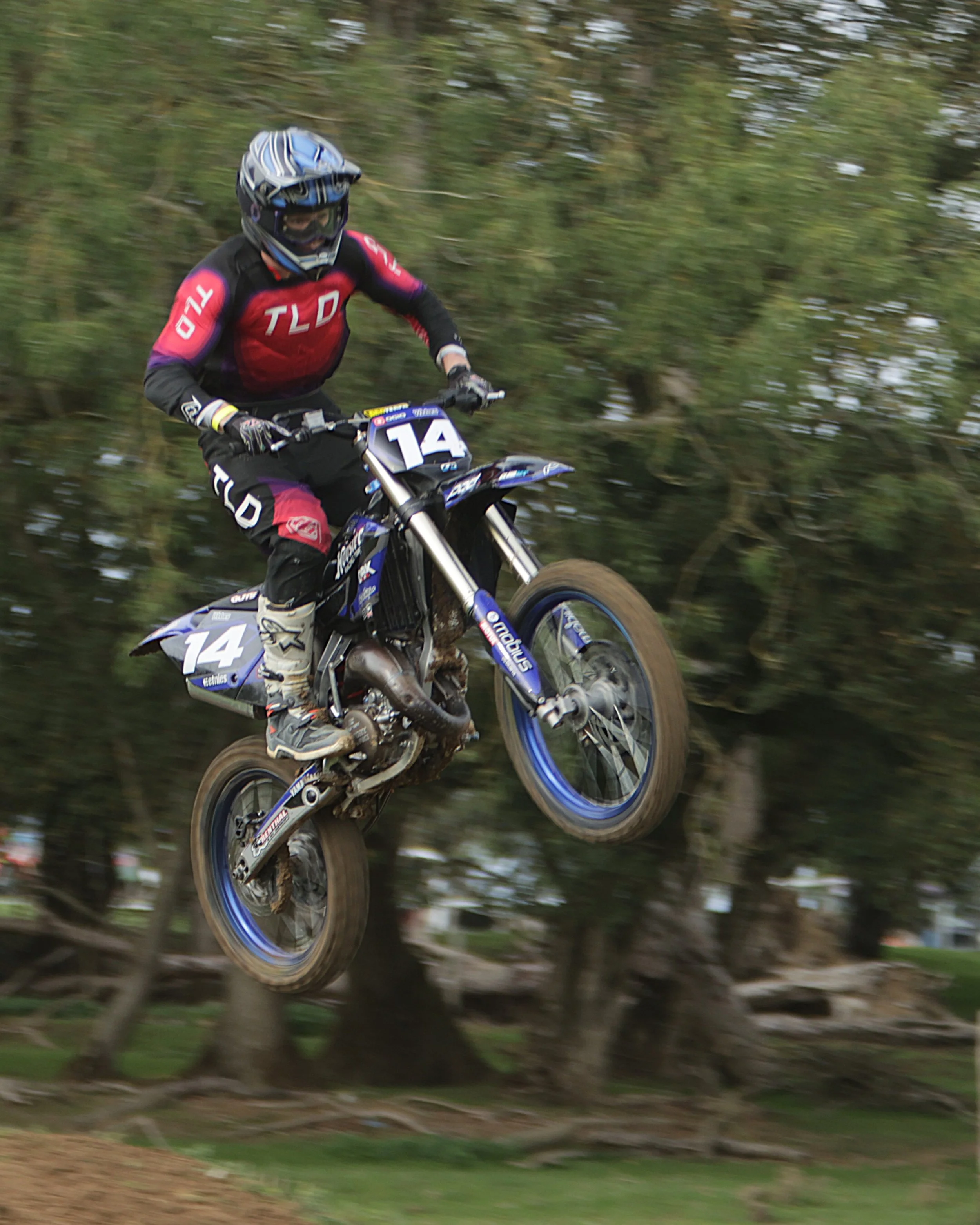 BB019173 crop.jpg