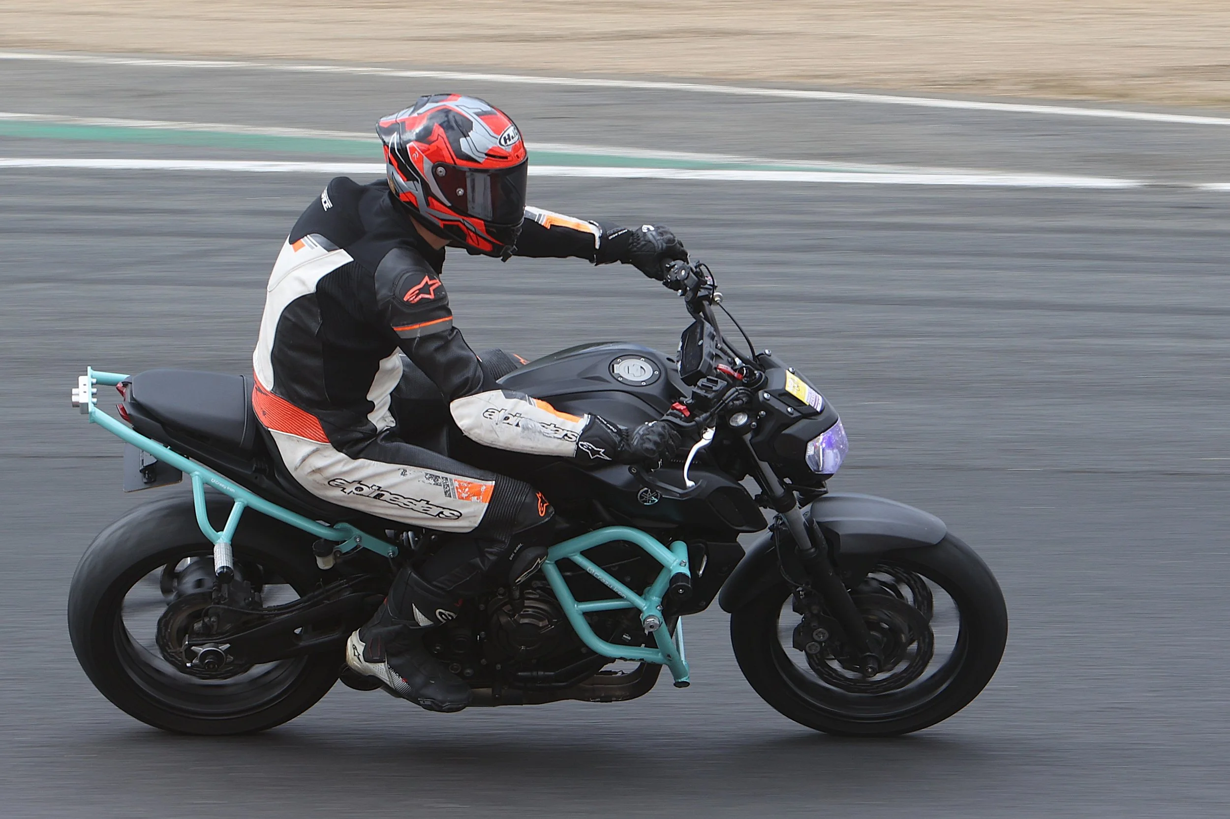 BB016528 crop.JPG