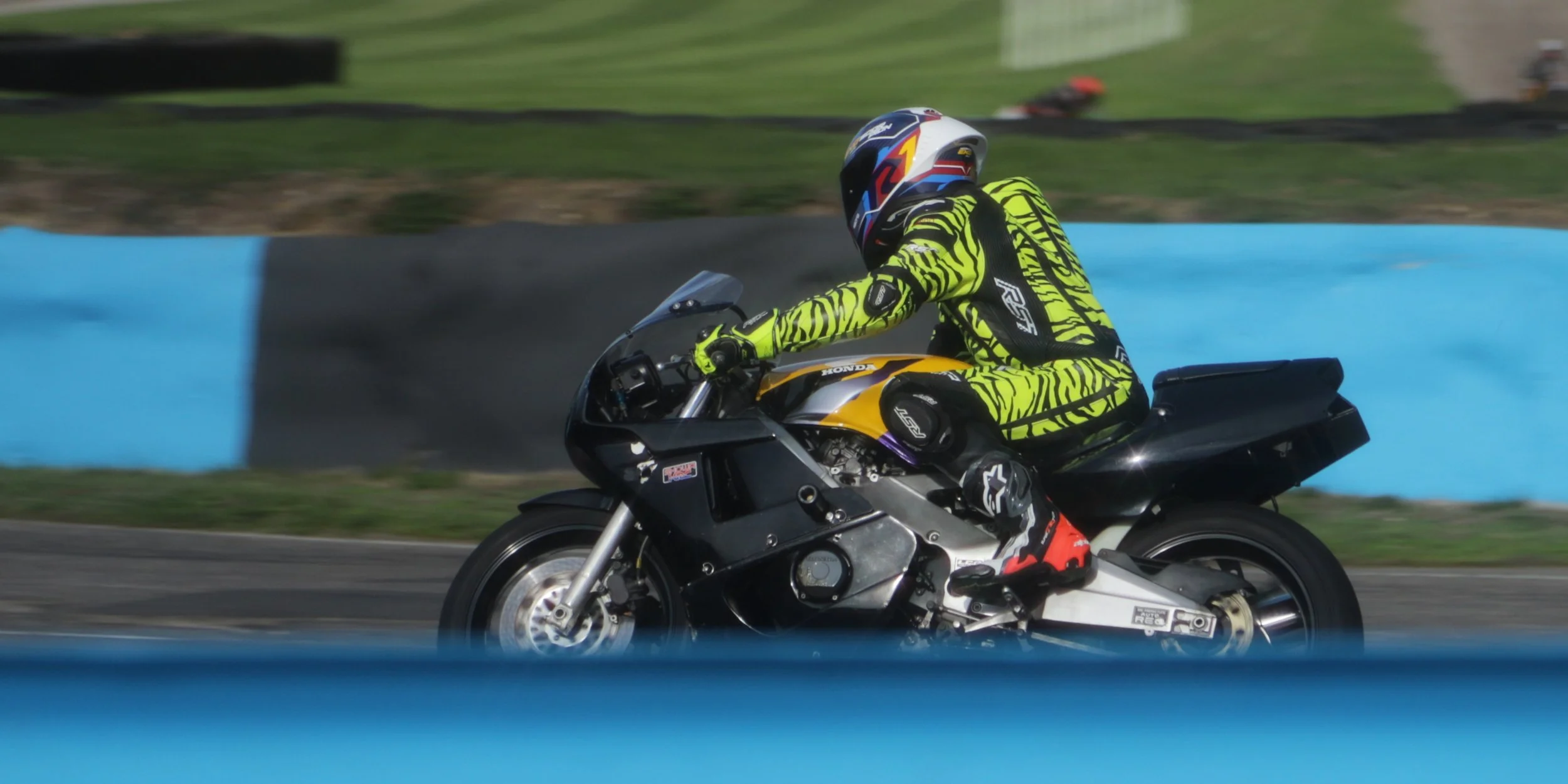 IMG_2669 crop.jpg