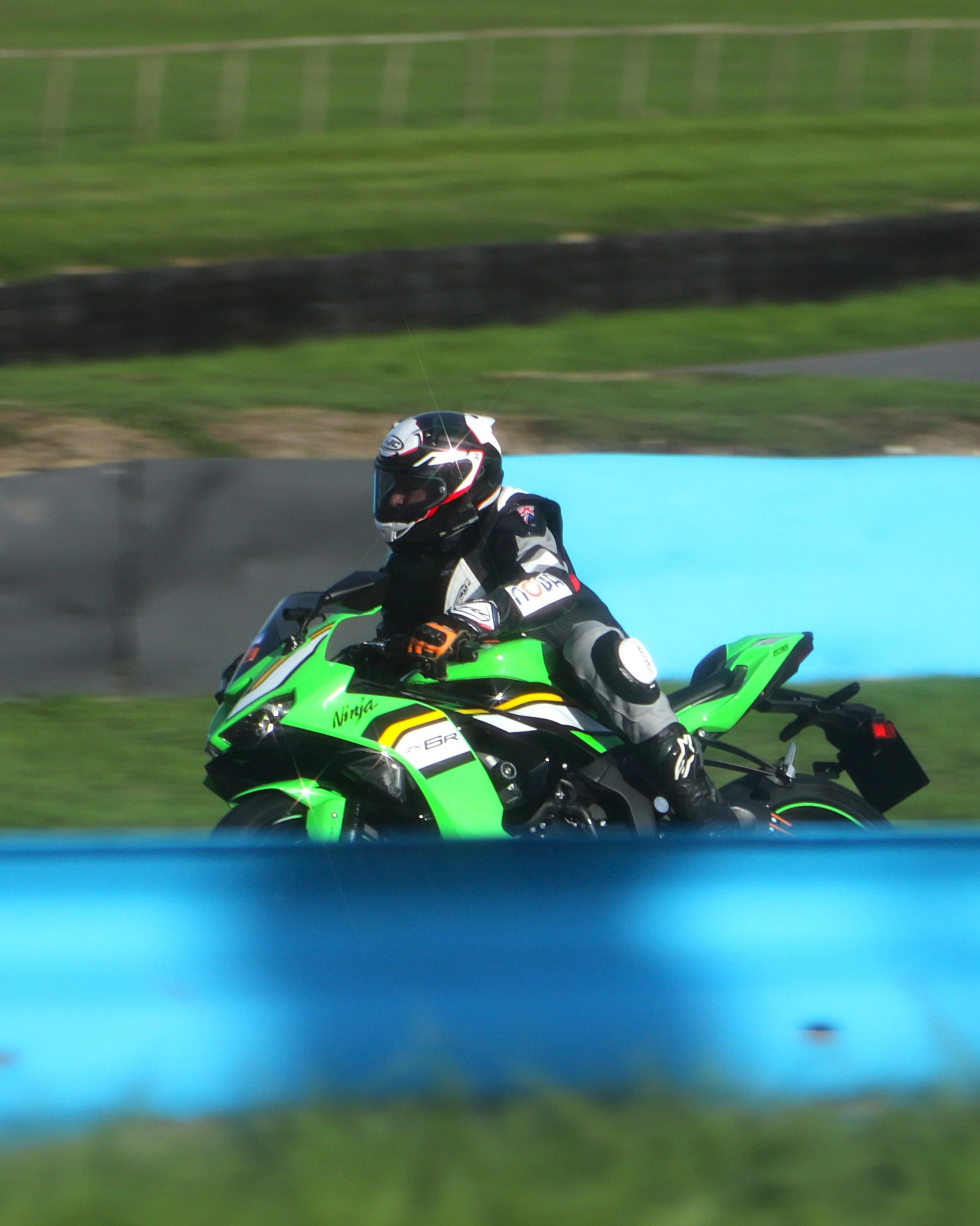 IMG_2505 crop.jpg