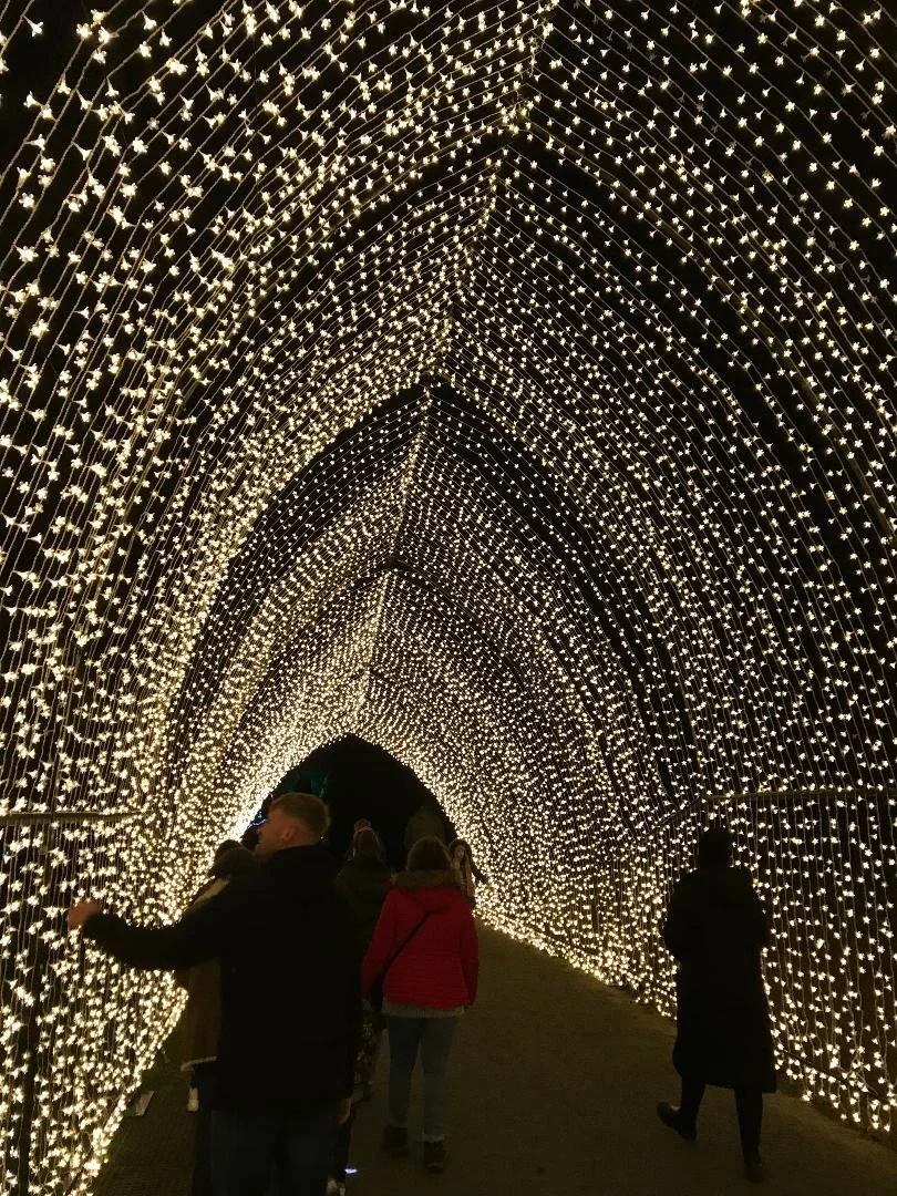 Tunnel of light