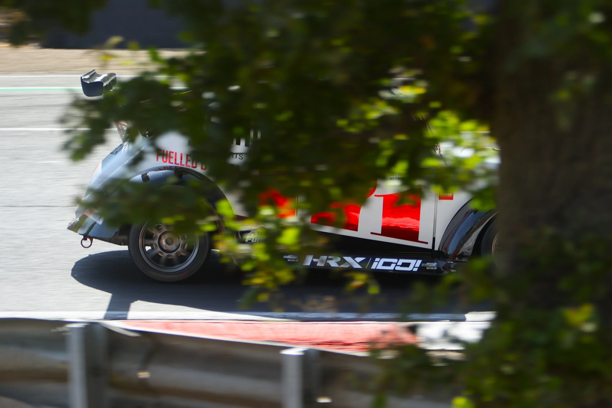 BB013608 crop.JPG