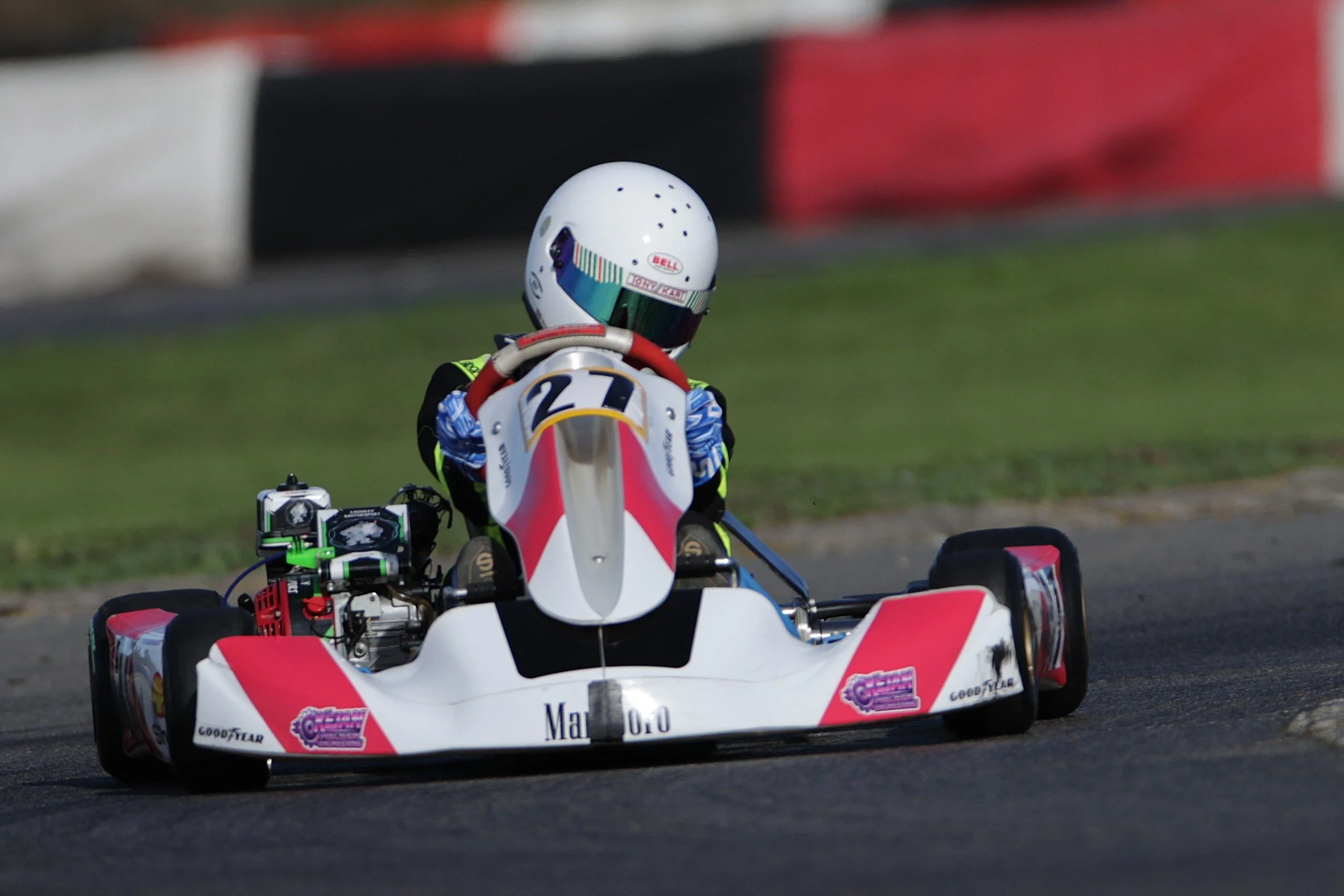 Honda Juniors