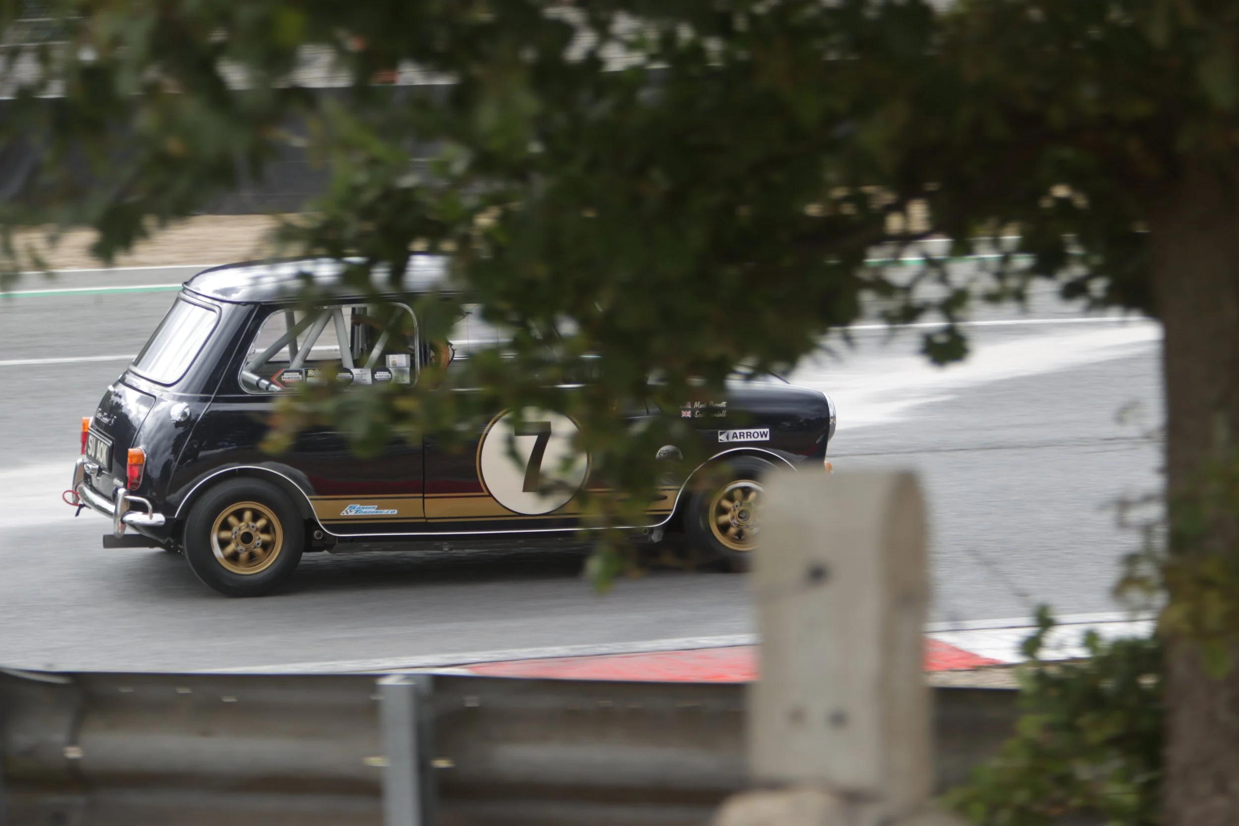 BB014975 crop.JPG