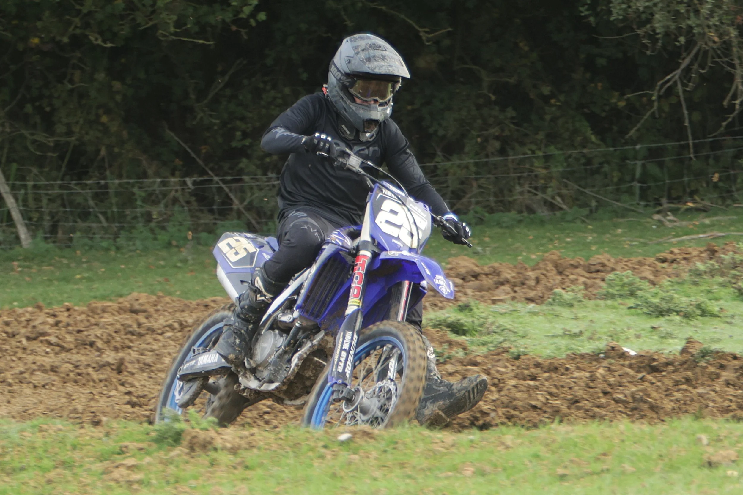 BB019239 crop.jpg