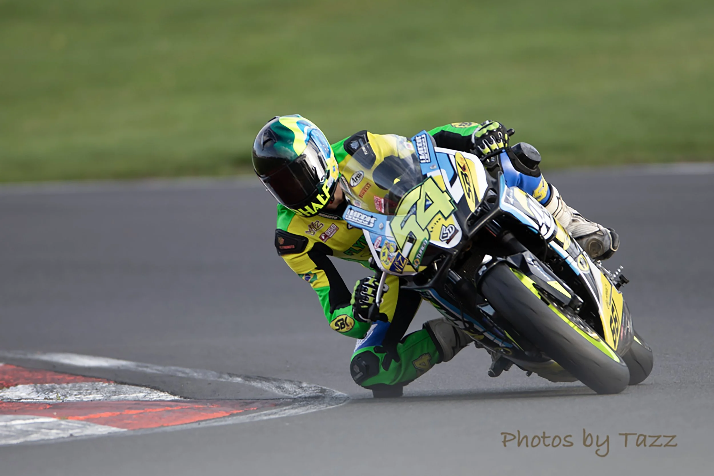 IMG_9999_690 crop_a2.jpg