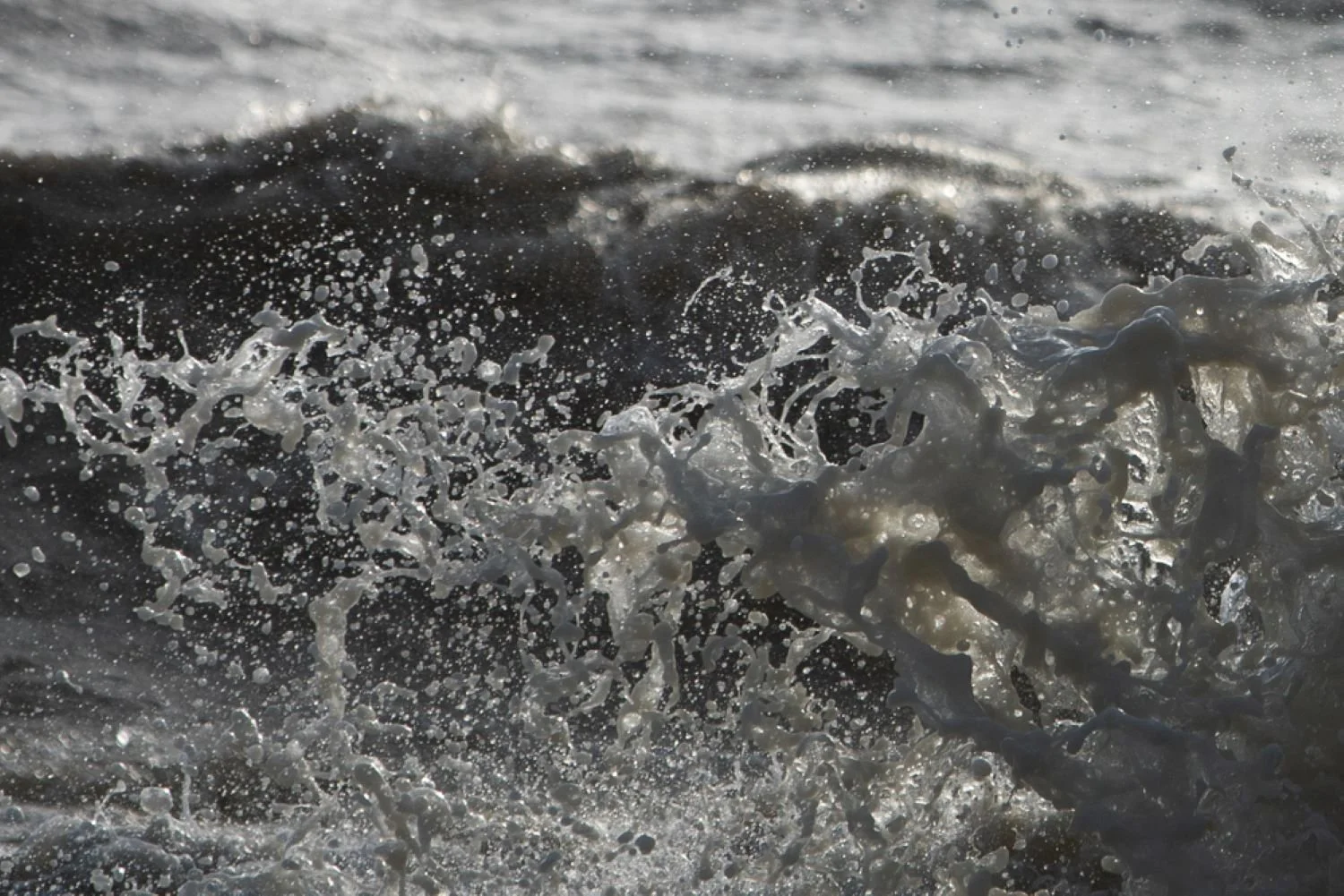 Wave caught with fast shutter speed