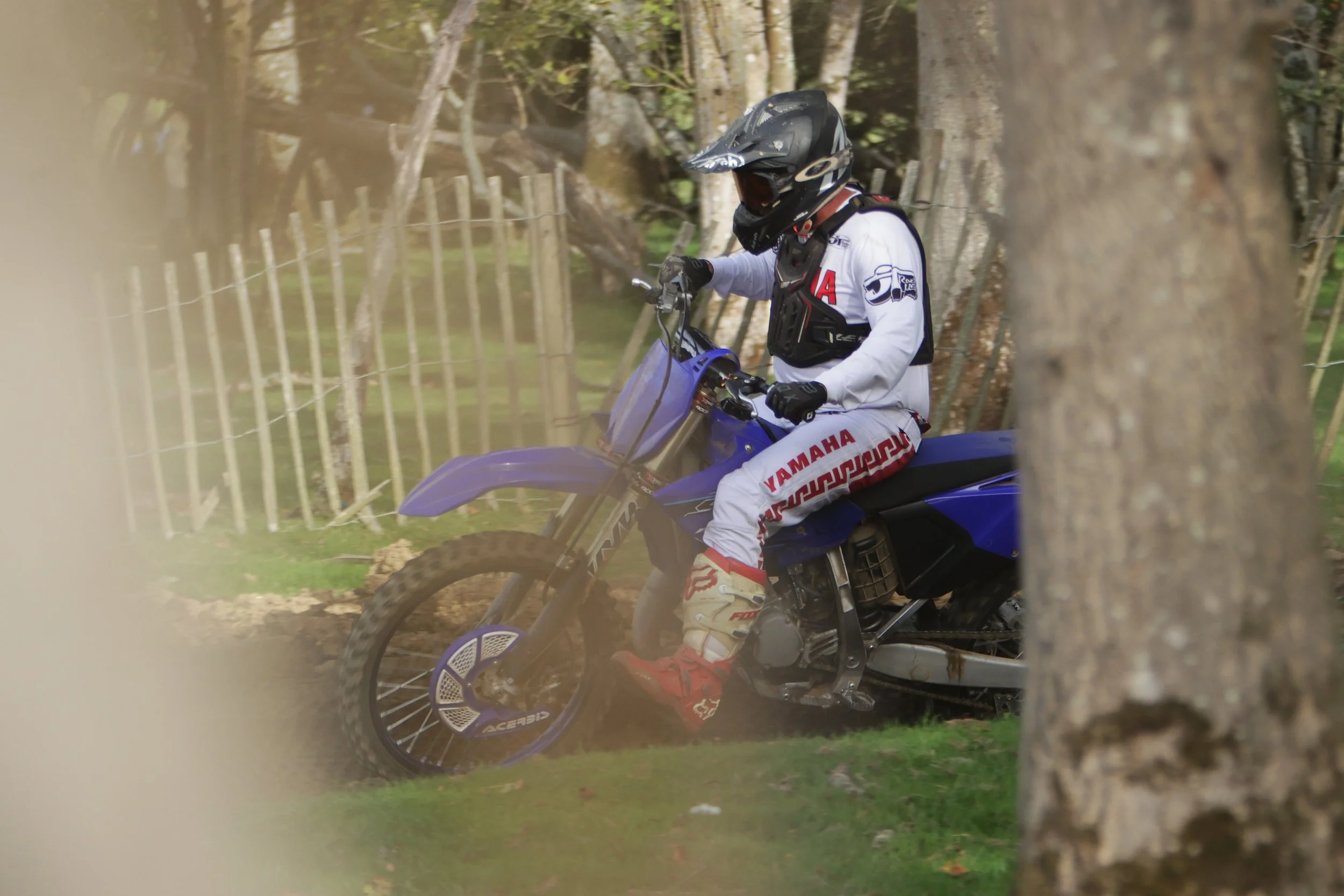 BB010069 crop.jpg