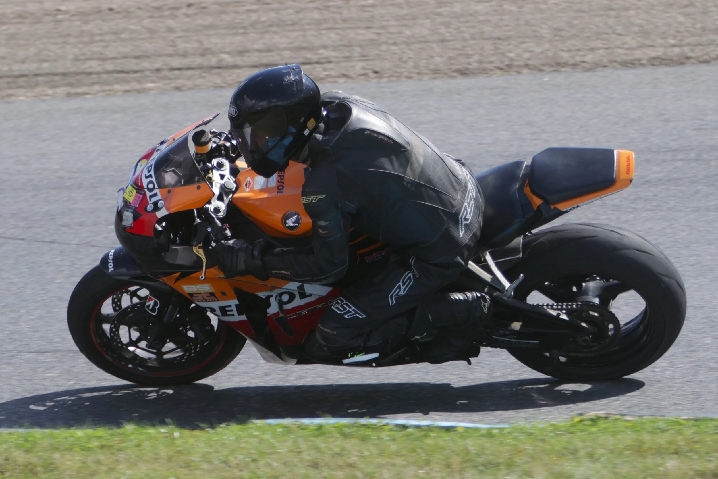 BB019251 crop.JPG
