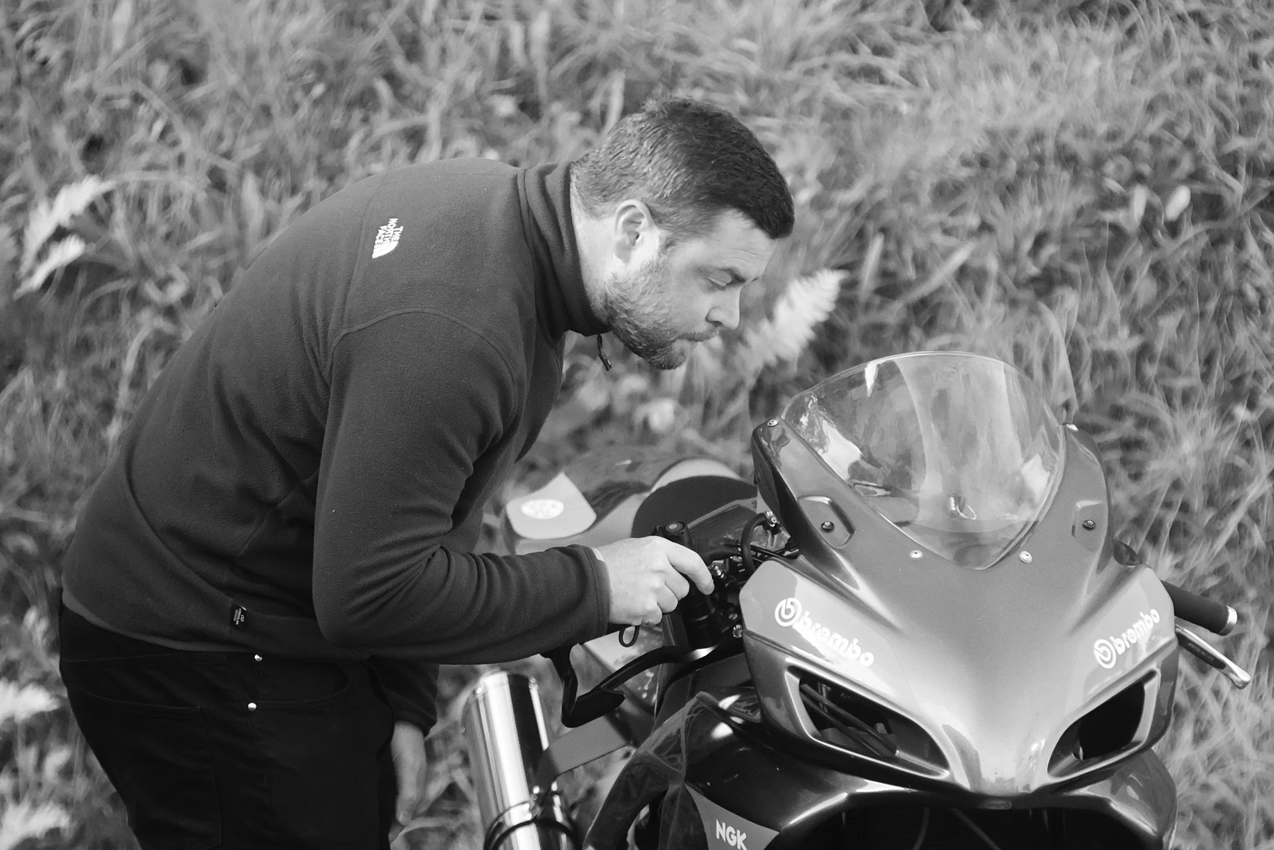 BB017430 crop.jpg