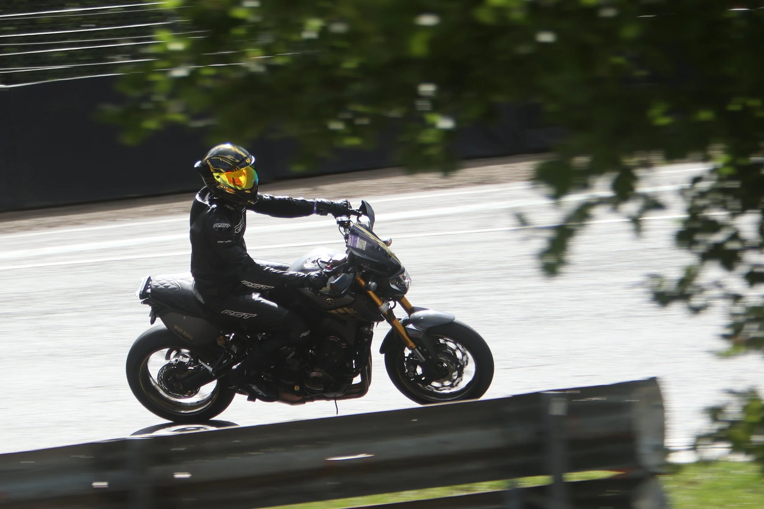 IMG_0667 crop.JPG