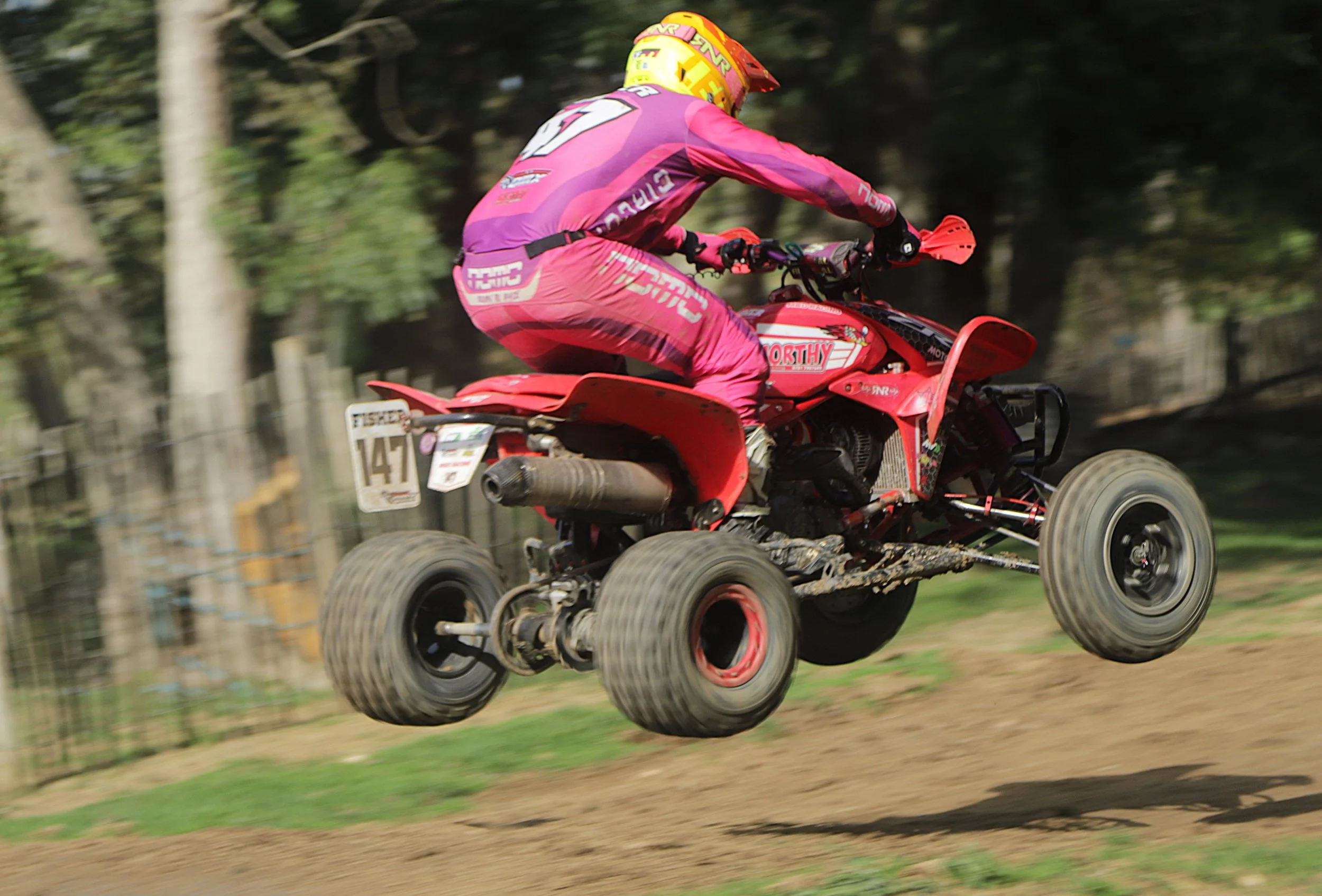 IMG_2251 crop.jpg
