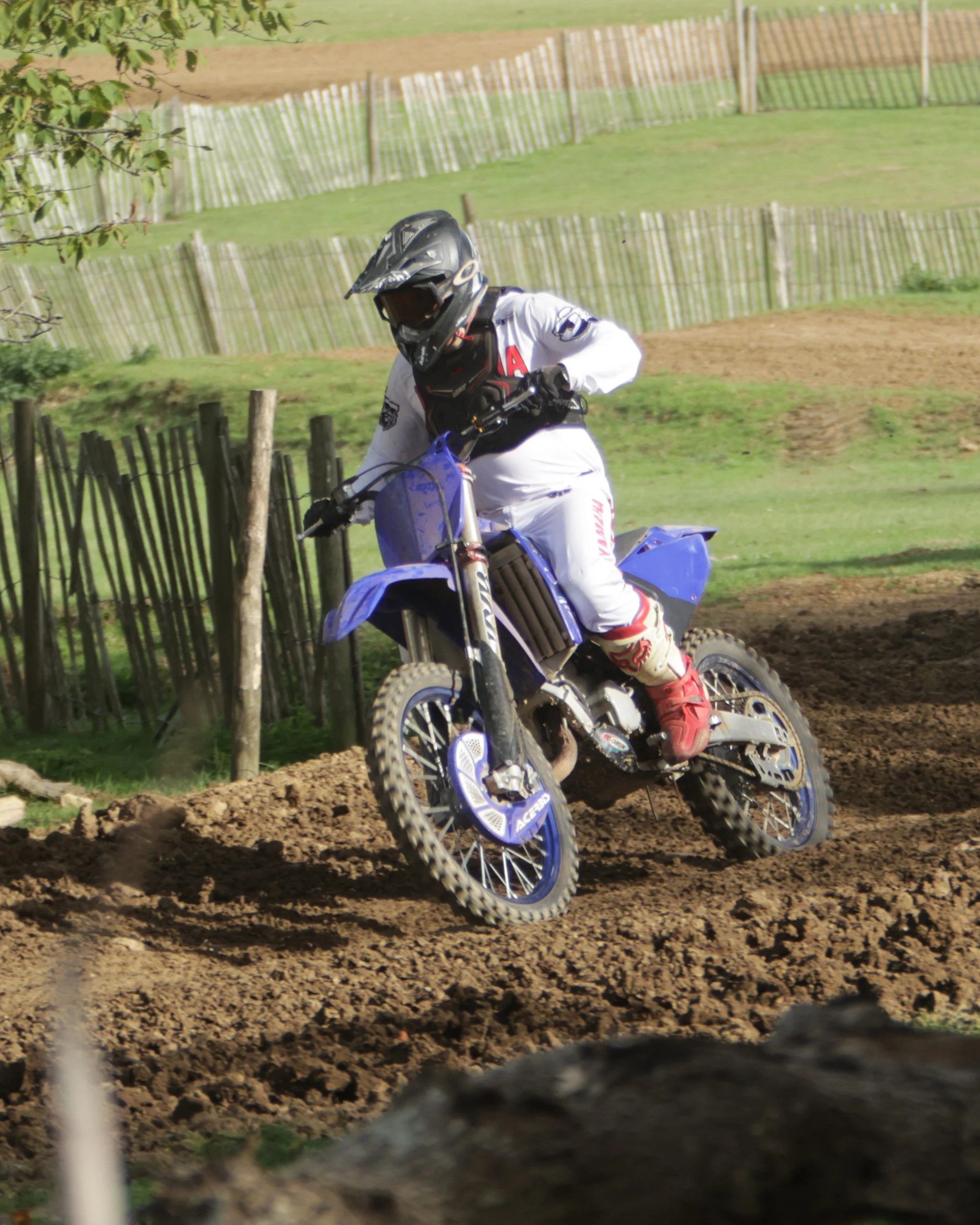 BB010065 crop.jpg