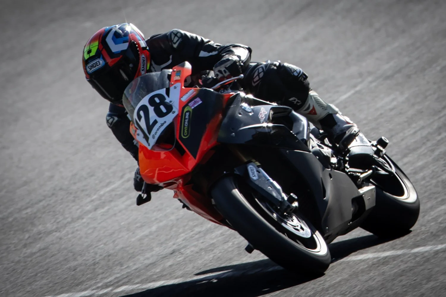 IMG_9999_34 crop.jpg