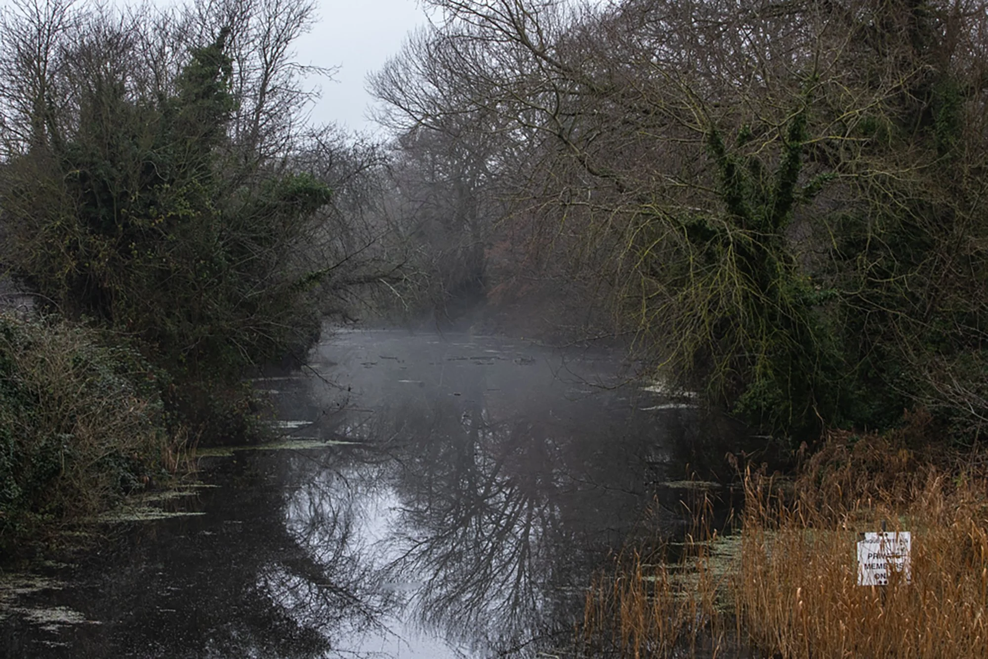 Mist over the Royal Military Canal at West Hythe, Kent
