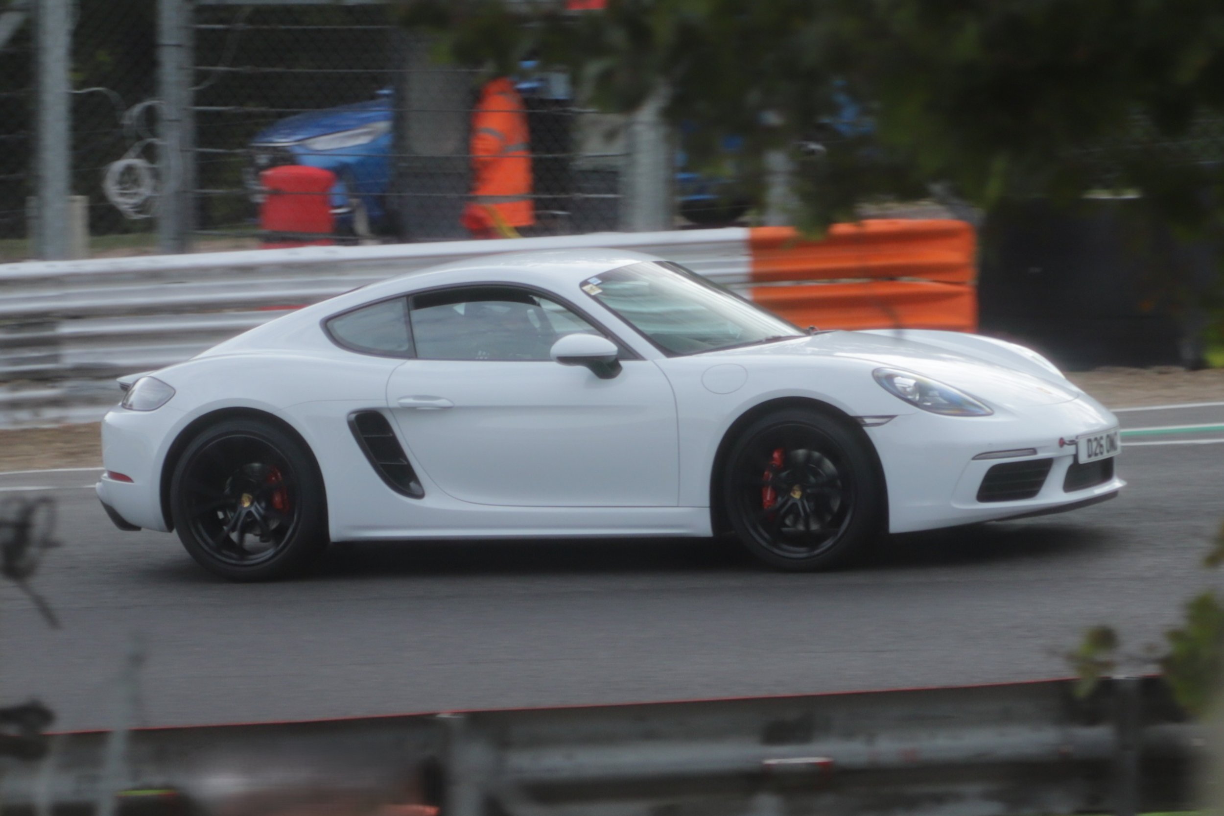 IMG_4249 crop.jpg