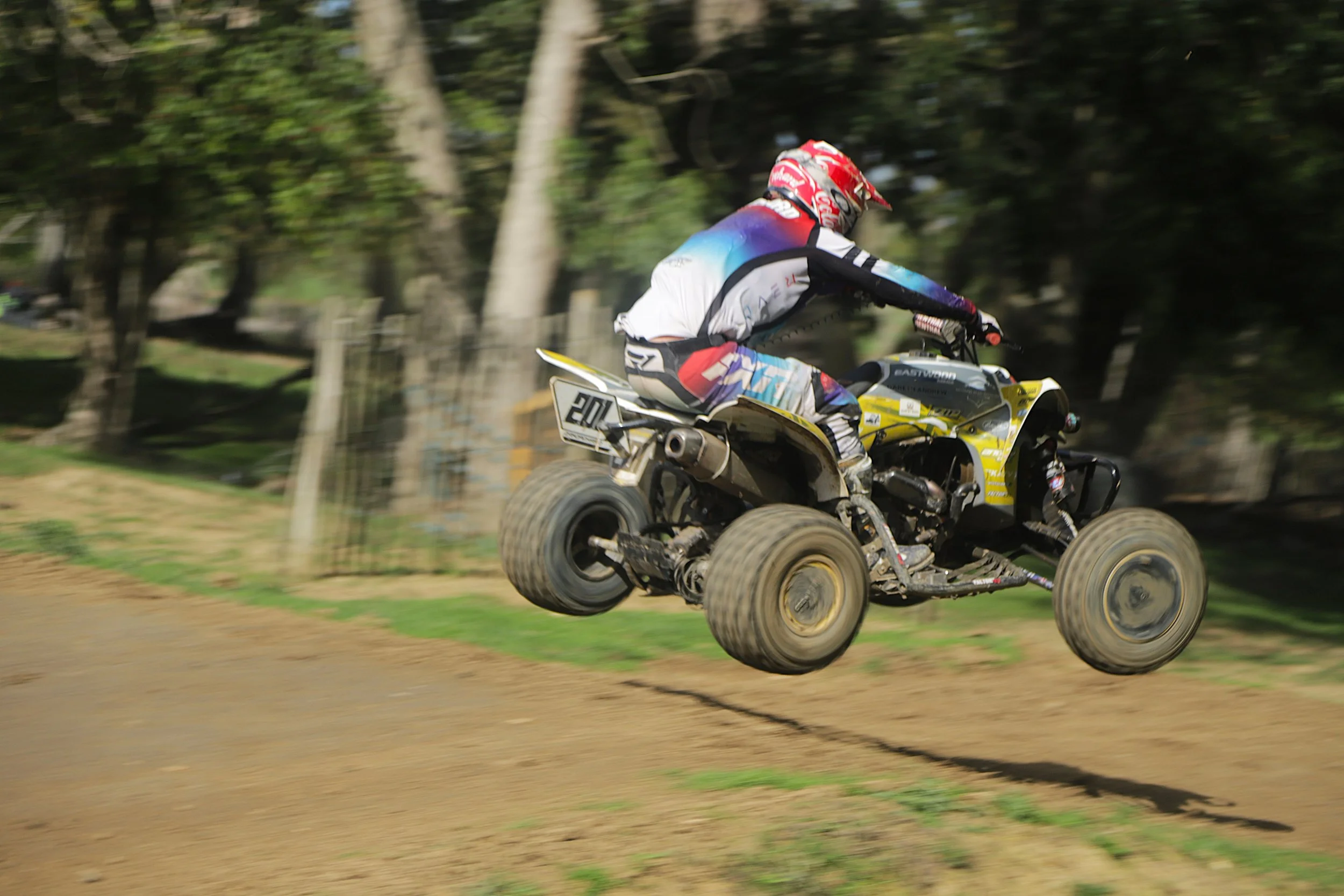 IMG_2257 crop.jpg