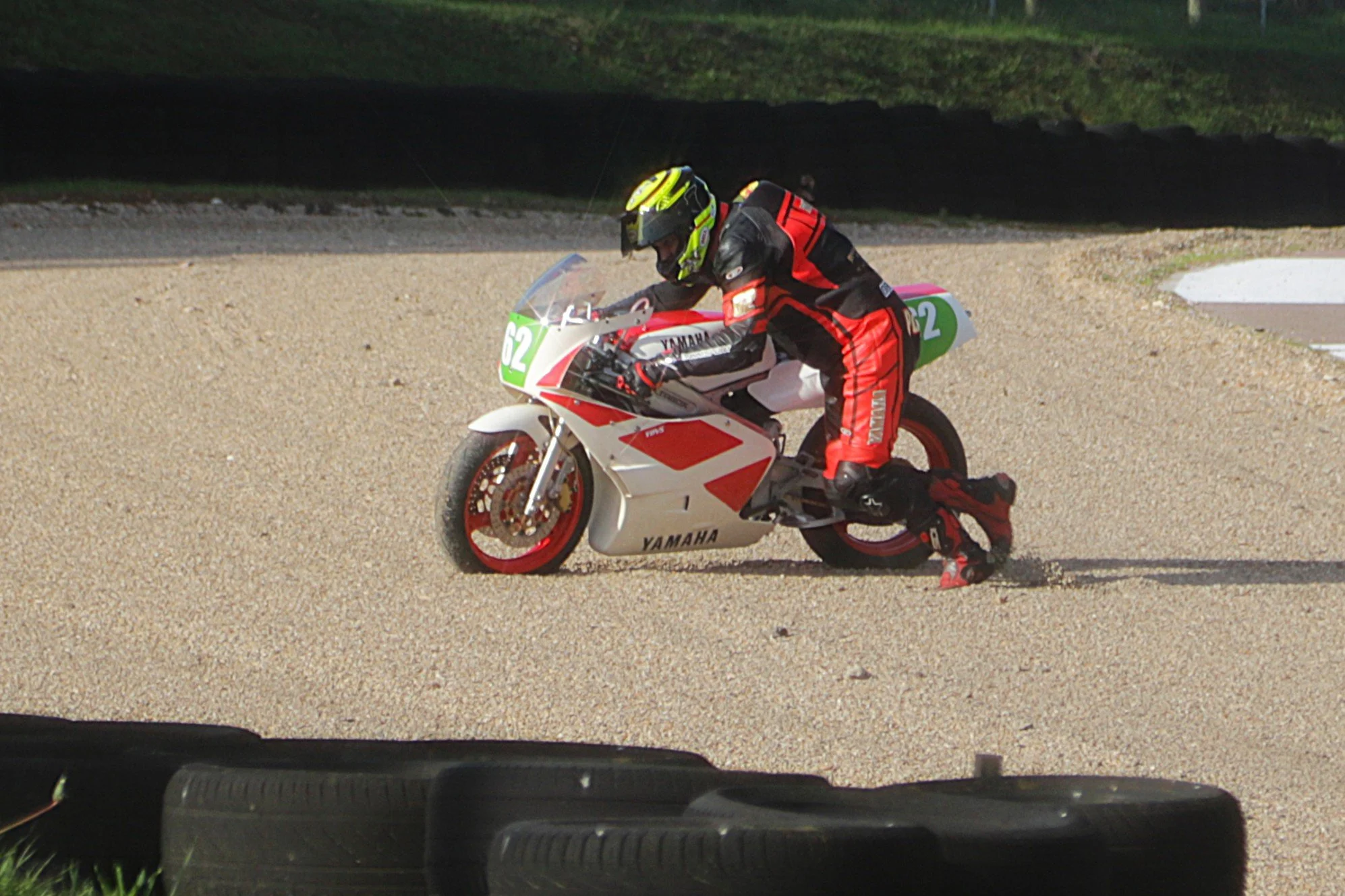IMG_2532 crop.jpg