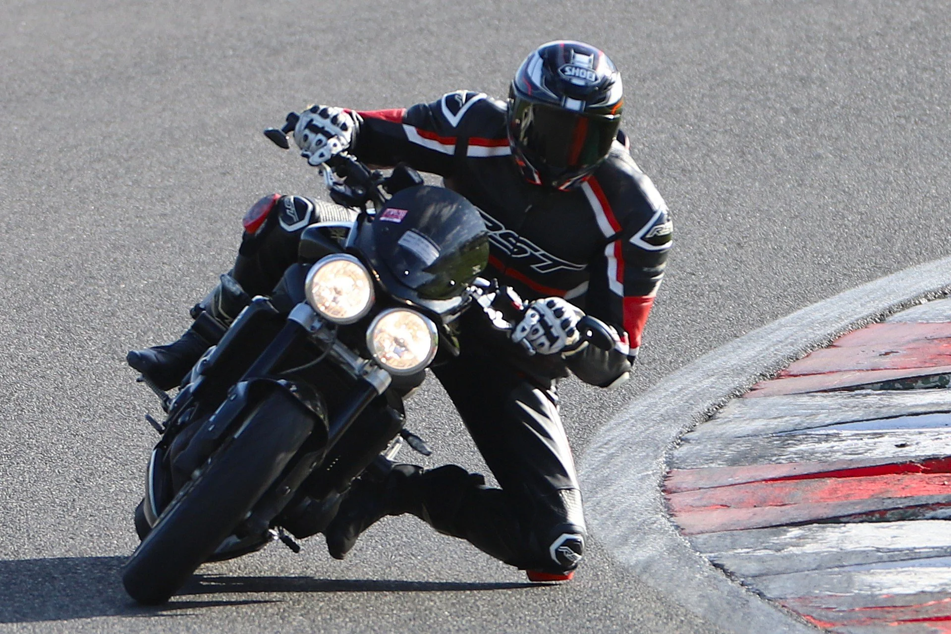 IMG_9999_65 crop.JPG