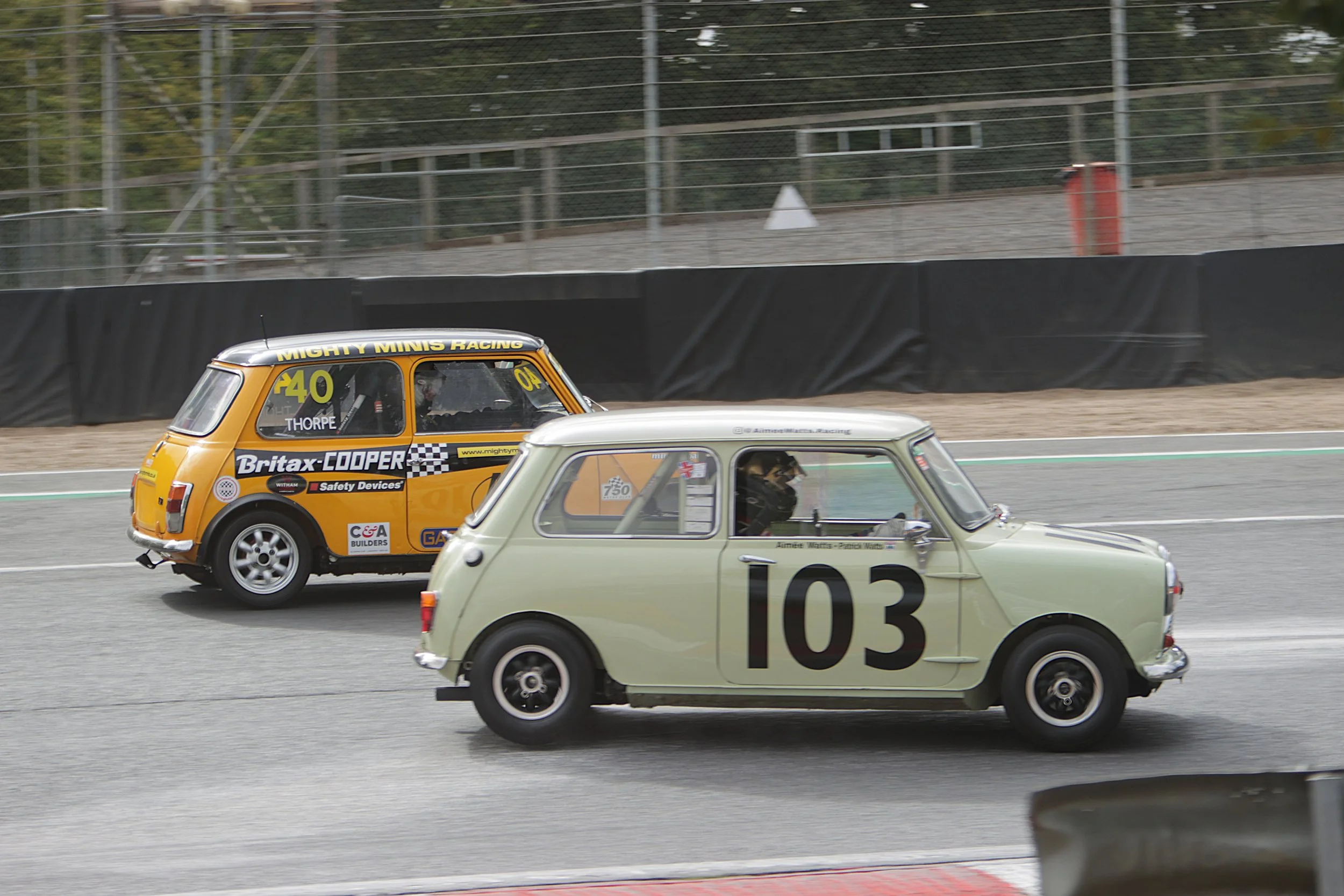 BB015138 crop.JPG
