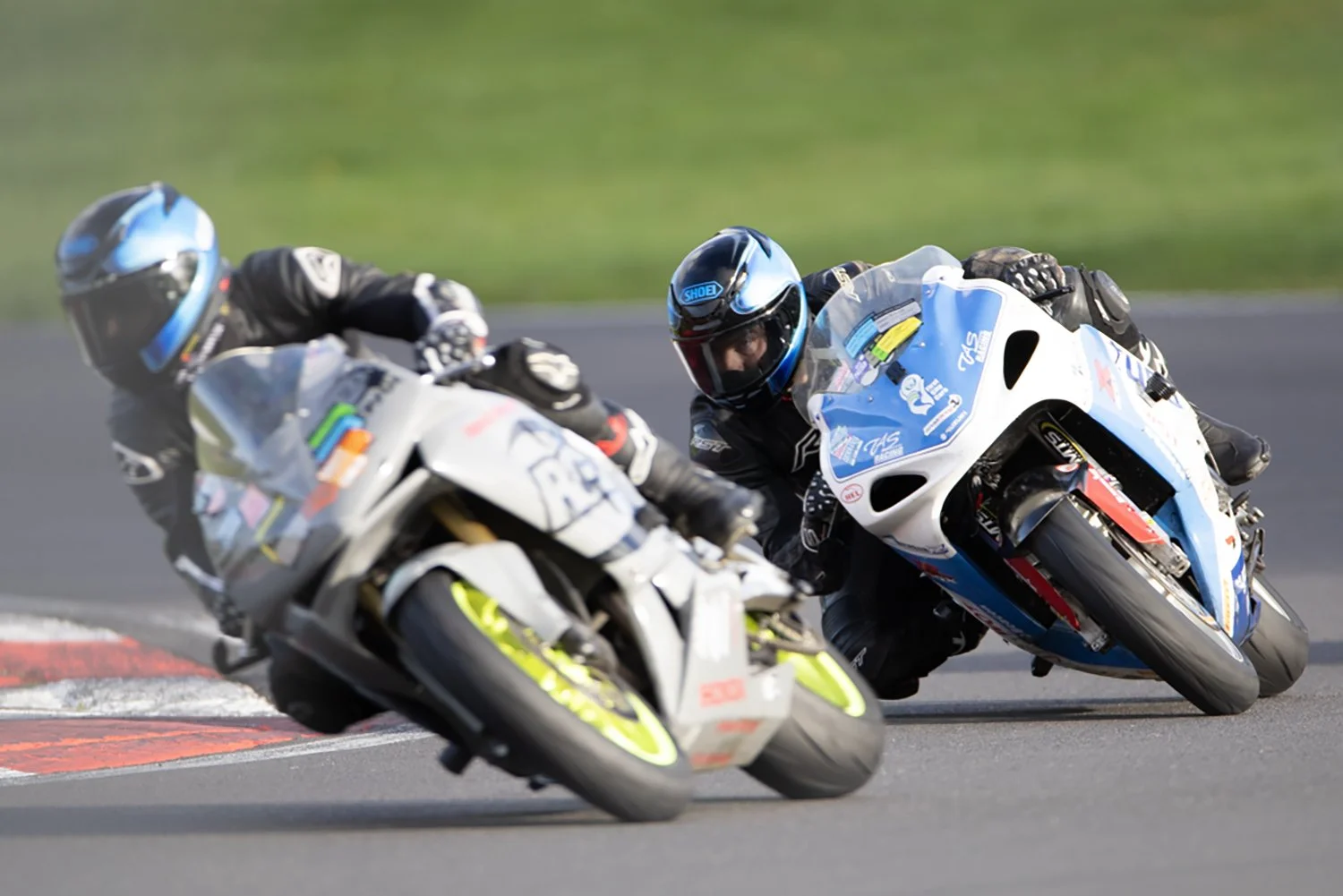 IMG_9999_773 crop.jpg