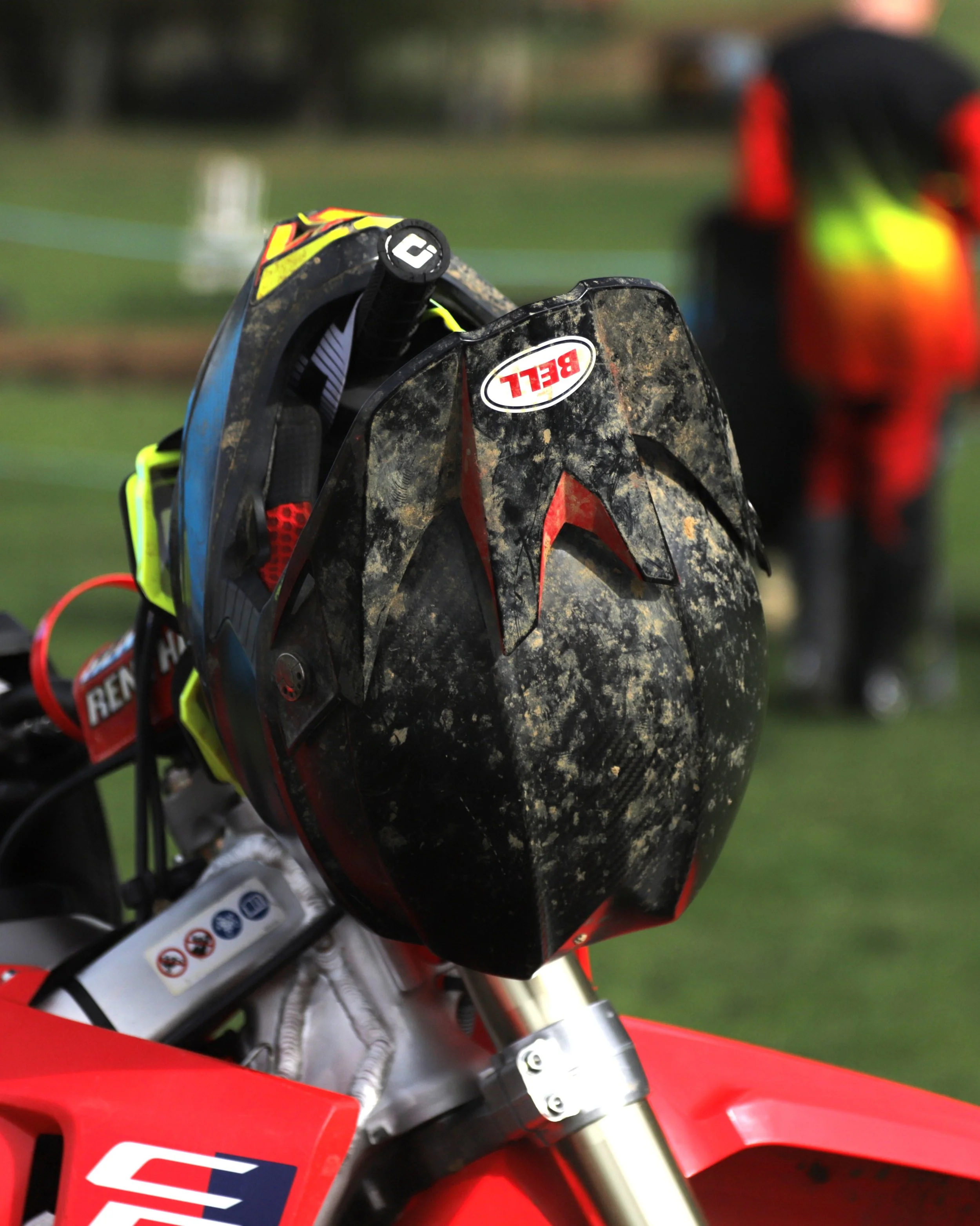 IMG_3453 crop.jpg