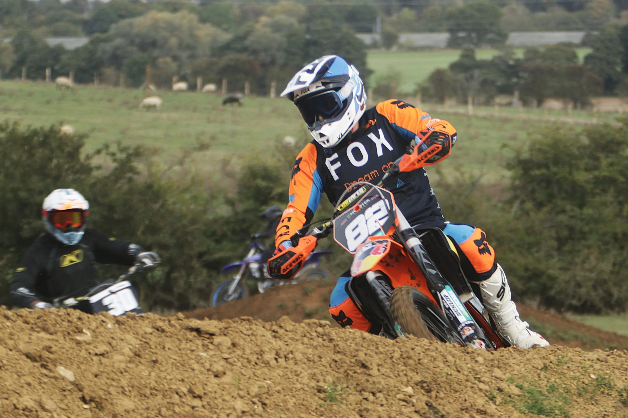 BB019229 crop.jpg