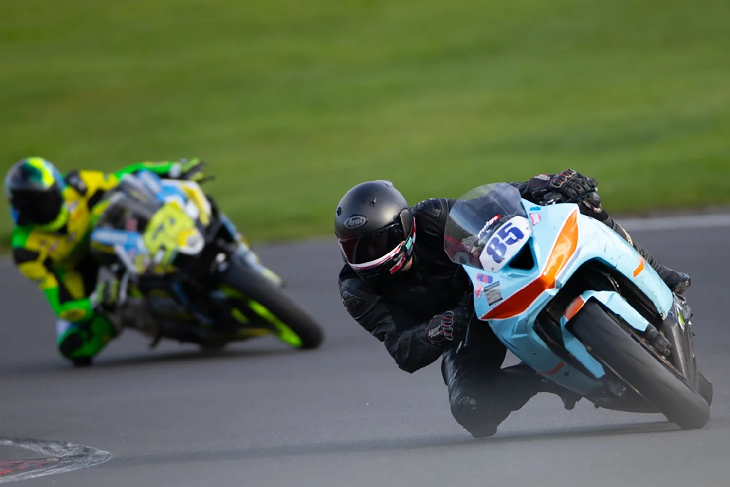 IMG_9999_748 crop.jpg