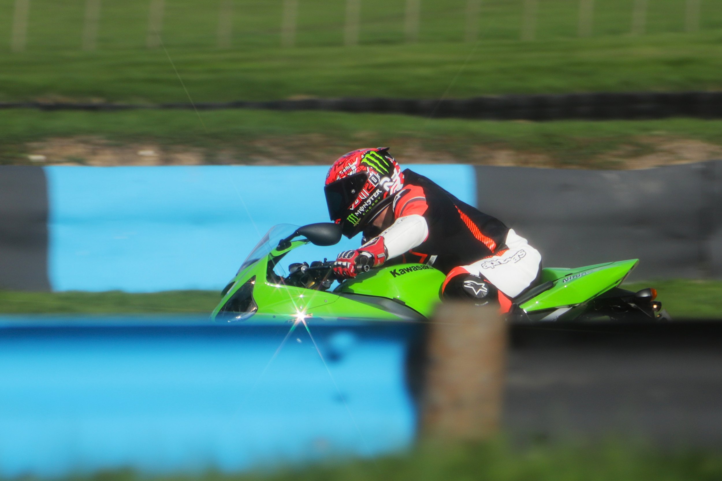 IMG_2642 crop.jpg