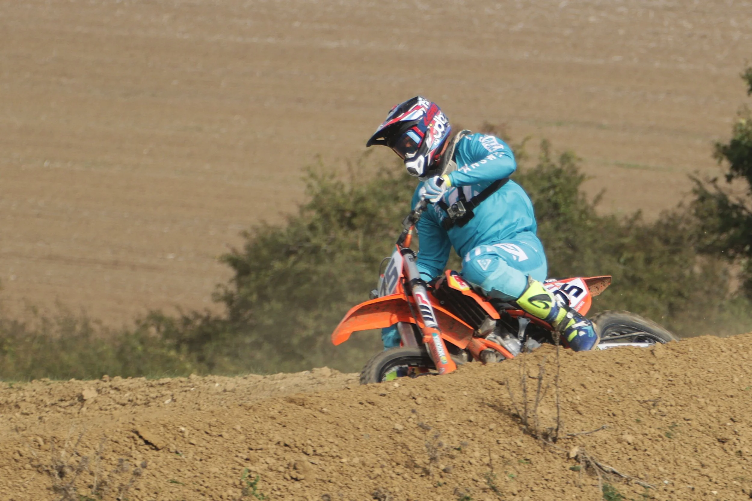 BB019849 crop.jpg