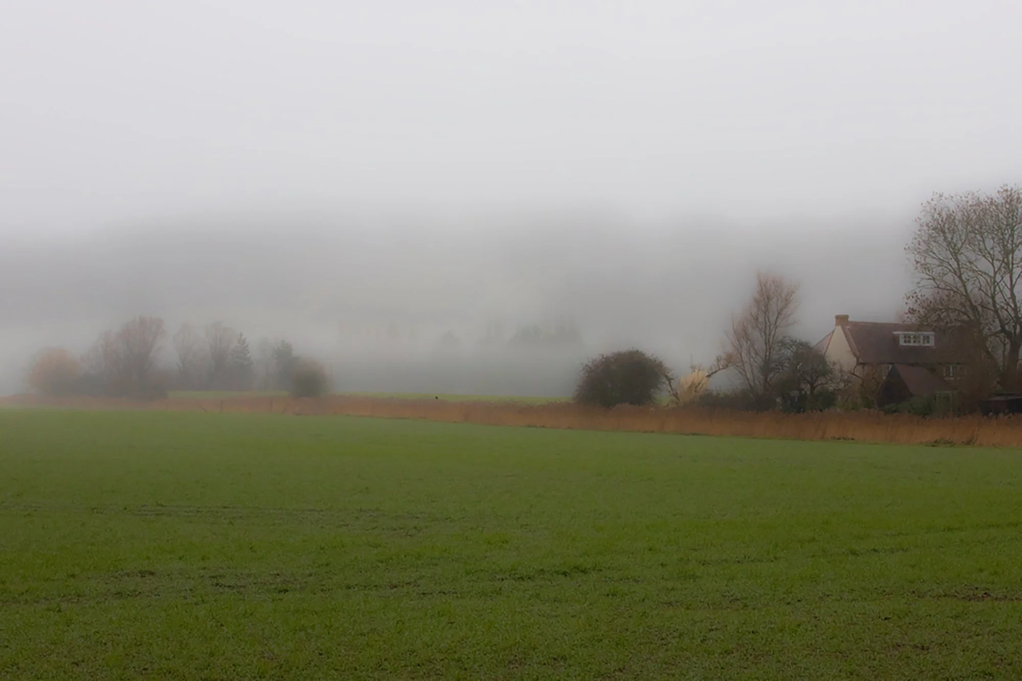 Mist over the fields at West Hythe, Kent