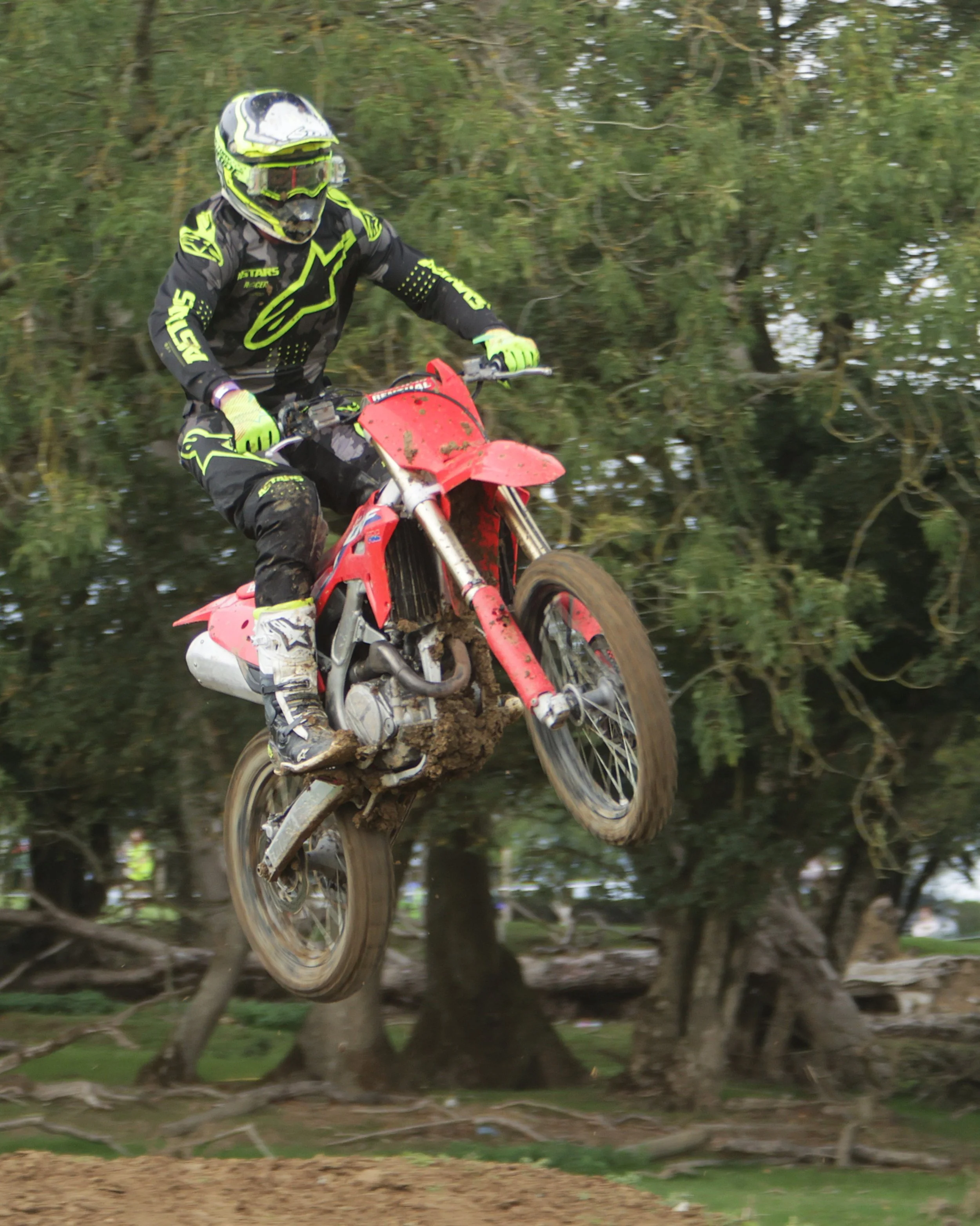 BB019039 crop.jpg