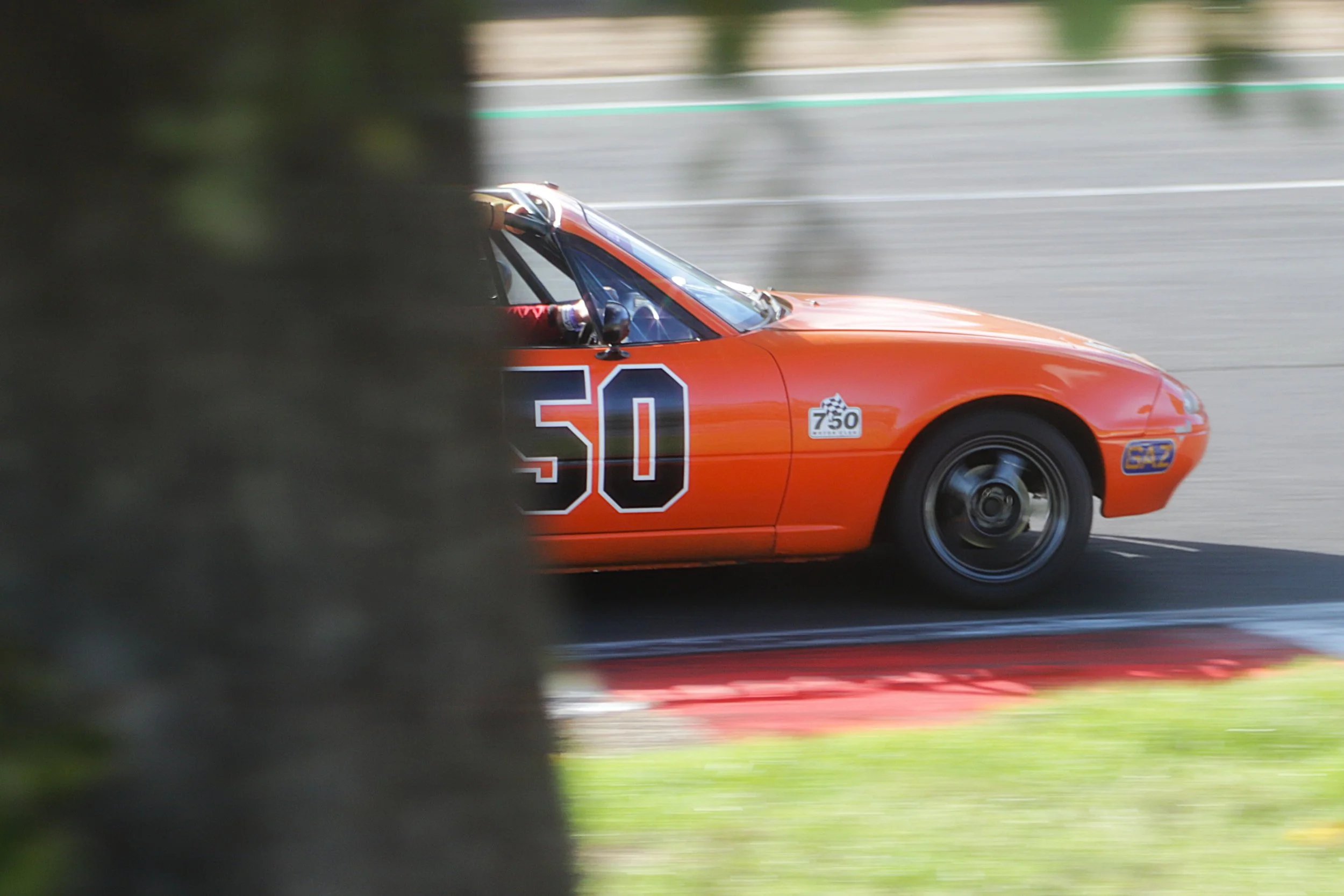 IMG_1374 crop.jpg