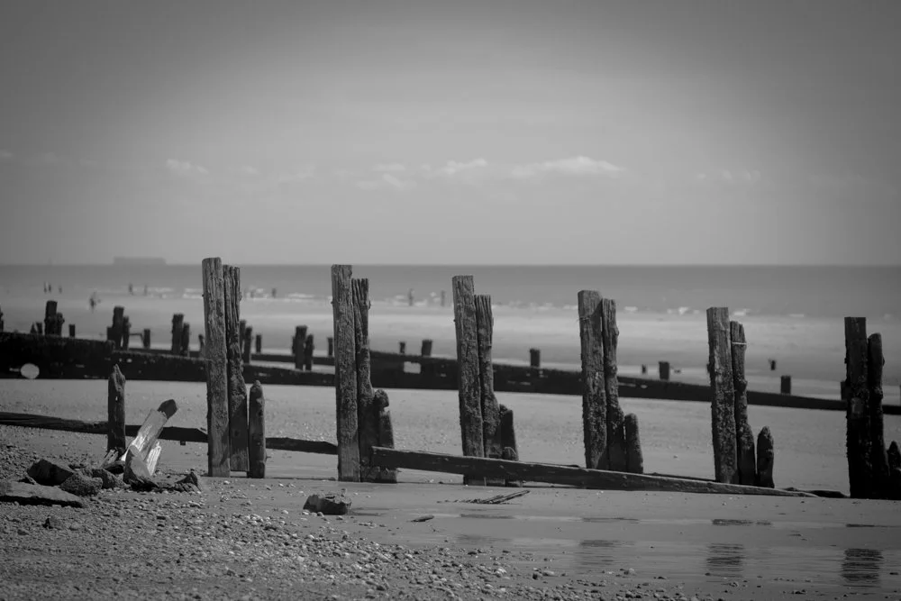 Groyne Piles at Camber Sands, Sussex